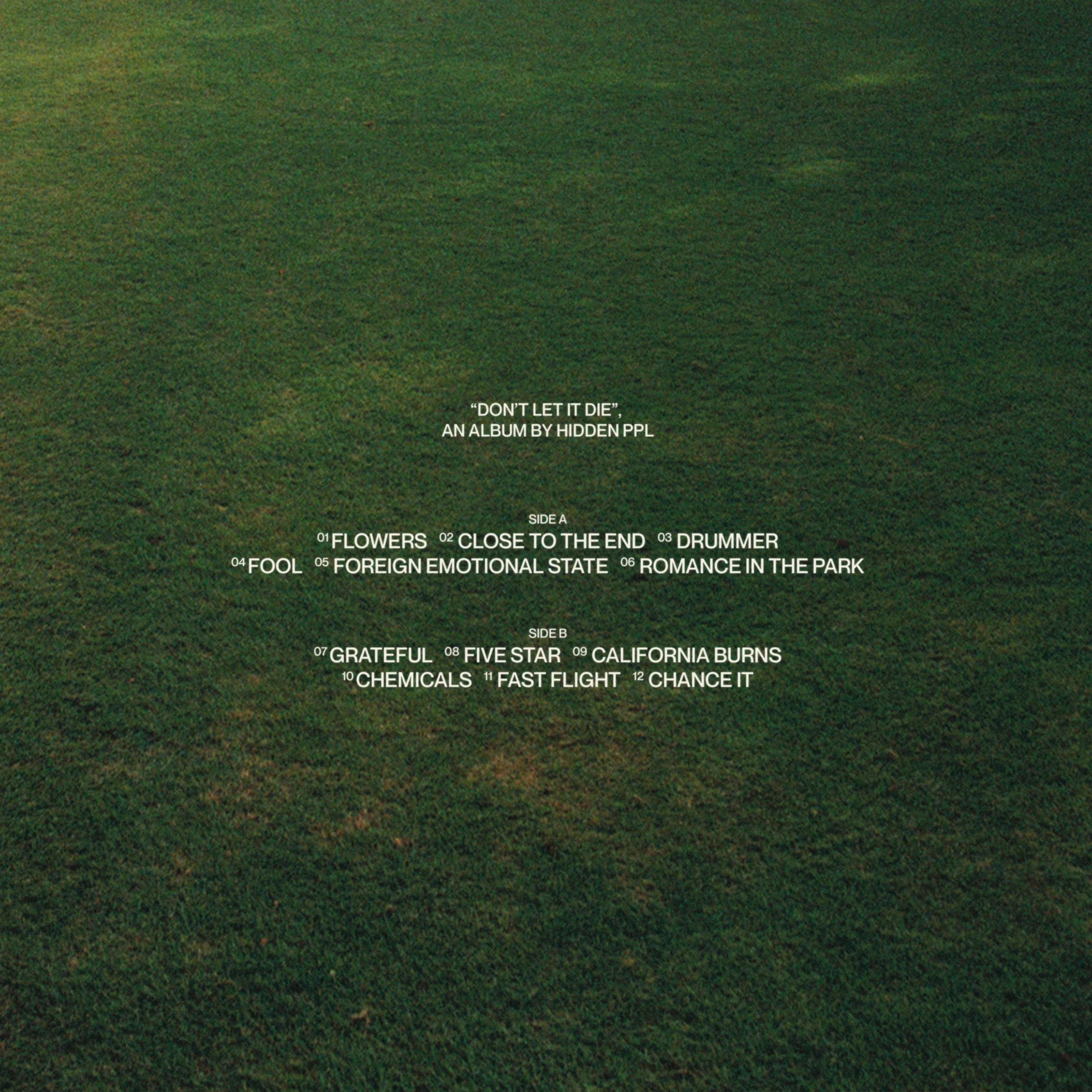 DON'T-LET-IT-DIE-FINAL-COVER-BACK.jpg