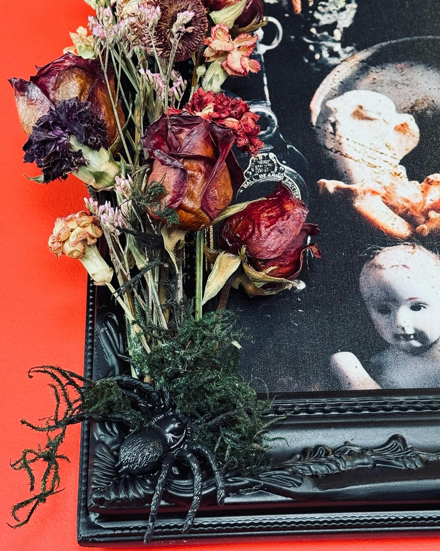 𝐶𝑟𝑒𝑒𝑝𝑦 𝐷𝑜𝑙𝑙 𝐻𝑎𝑛𝑔𝑖𝑛𝑔𝑠 𖨆
ᴱᶻᴹᴱᴿᴬᴸᴰᴬ ᴮᴸᴬᶜᴷ 
вl&sigma;&sigma;m dєc&alpha;ч ғraмe⁂
www.Ezmeraldablack.com 
 ☽ᐁ&there4;ꪉ𖠋  ᵖʰᵒᵗᵒᵍ @cevet_jones 
#victorian #creepydoll #deadflowers #asteticphotography #haunted #witches #twinflame  #twinfl