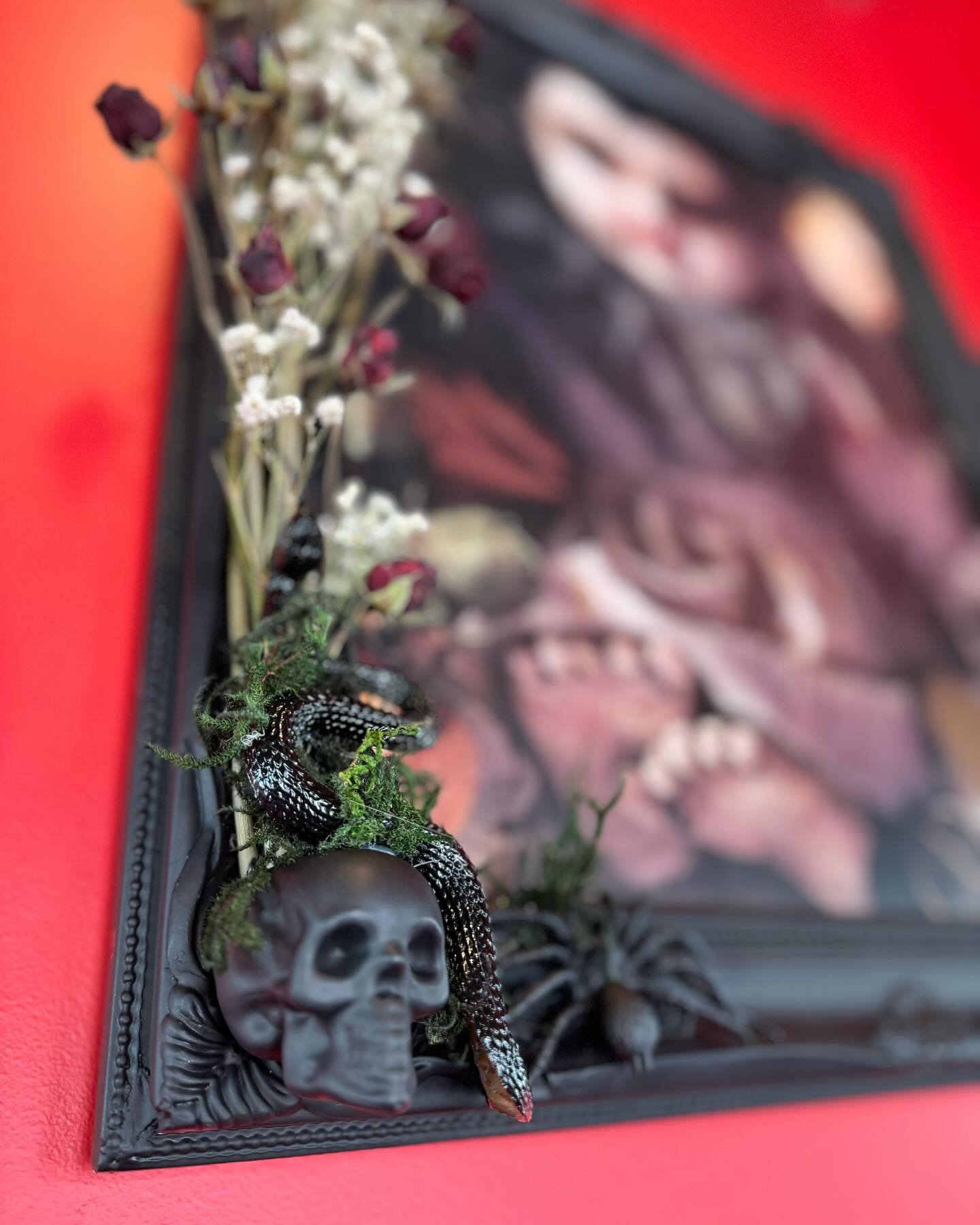 𝐶𝑟𝑒𝑒𝑝𝑦 𝐷𝑜𝑙𝑙 𝐻𝑎𝑛𝑔𝑖𝑛𝑔𝑠 𖨆
ᴱᶻᴹᴱᴿᴬᴸᴰᴬ ᴮᴸᴬᶜᴷ 
єzz&iacute;є вl&sigma;&sigma;m ғraмe⁂
www.Ezmeraldablack.com 
 ☽ᐁ&there4;ꪉ𖠋  ᵖʰᵒᵗᵒᵍ @cevet_jones 
#victorian #creepydoll #deadflowers #asteticphotography #haunted #witches #twinflame  #twinf