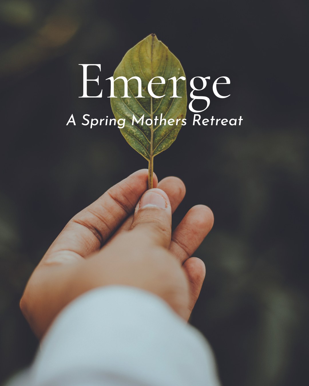 homelike (Instagram Post (45)).png