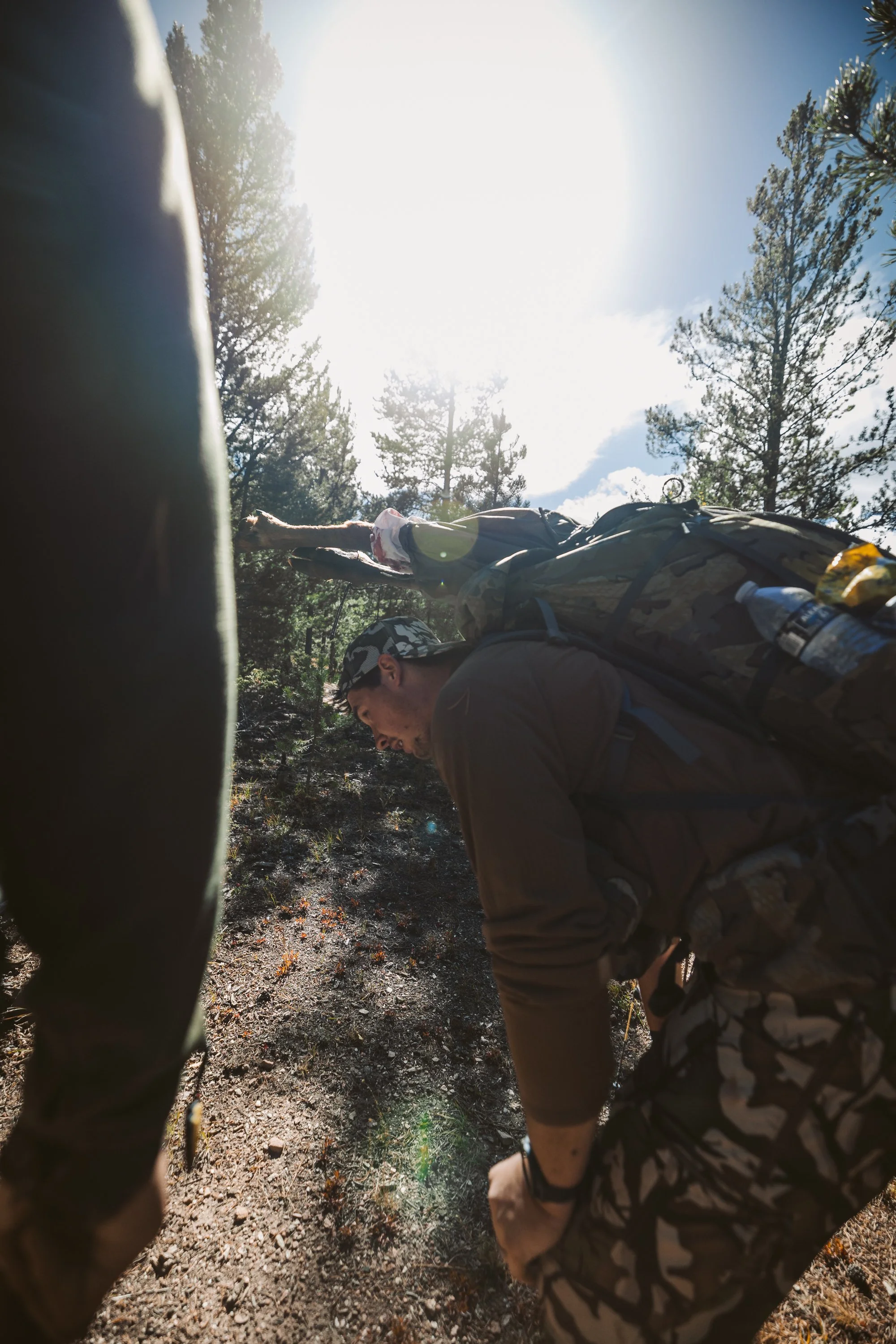 Person hiking with a heavy backpack in a forest with bright sunlight