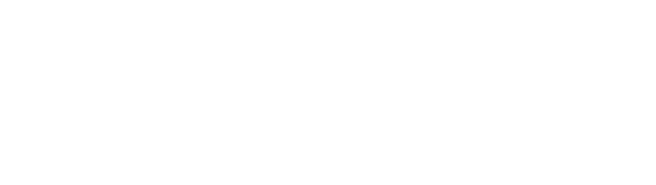 Logo with "BSC" and text "Bible, Survival, Combat" in bold font.