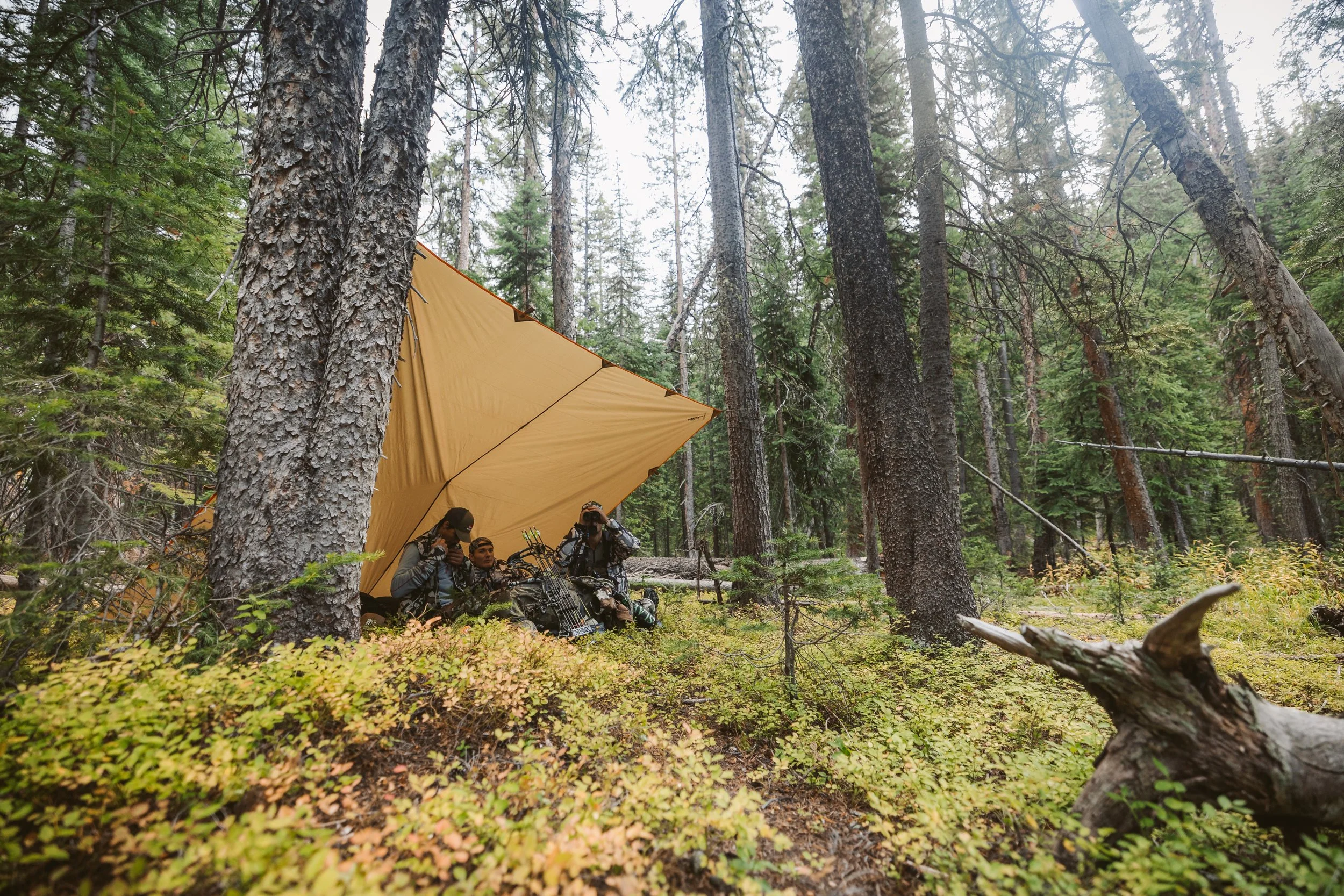 Camping scene in a forest with people under a large yellow tarp shelter, surrounded by trees and undergrowth.