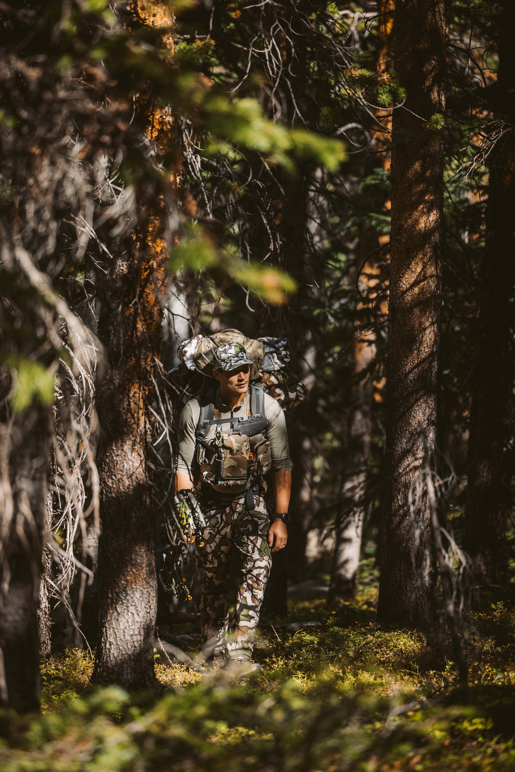 Person in camouflage gear walking through a dense forest, carrying a bow and wearing a backpack.