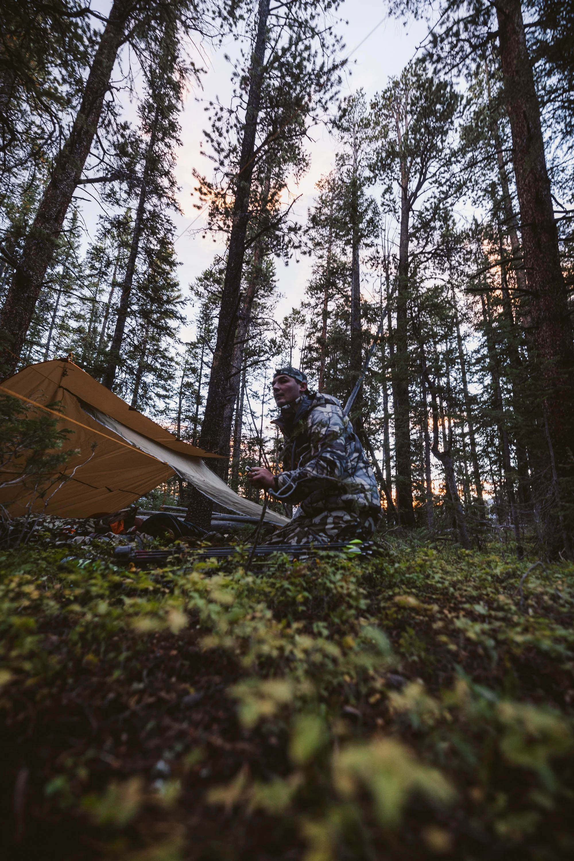 Person in camouflage setting up a tent in a forest during dusk.