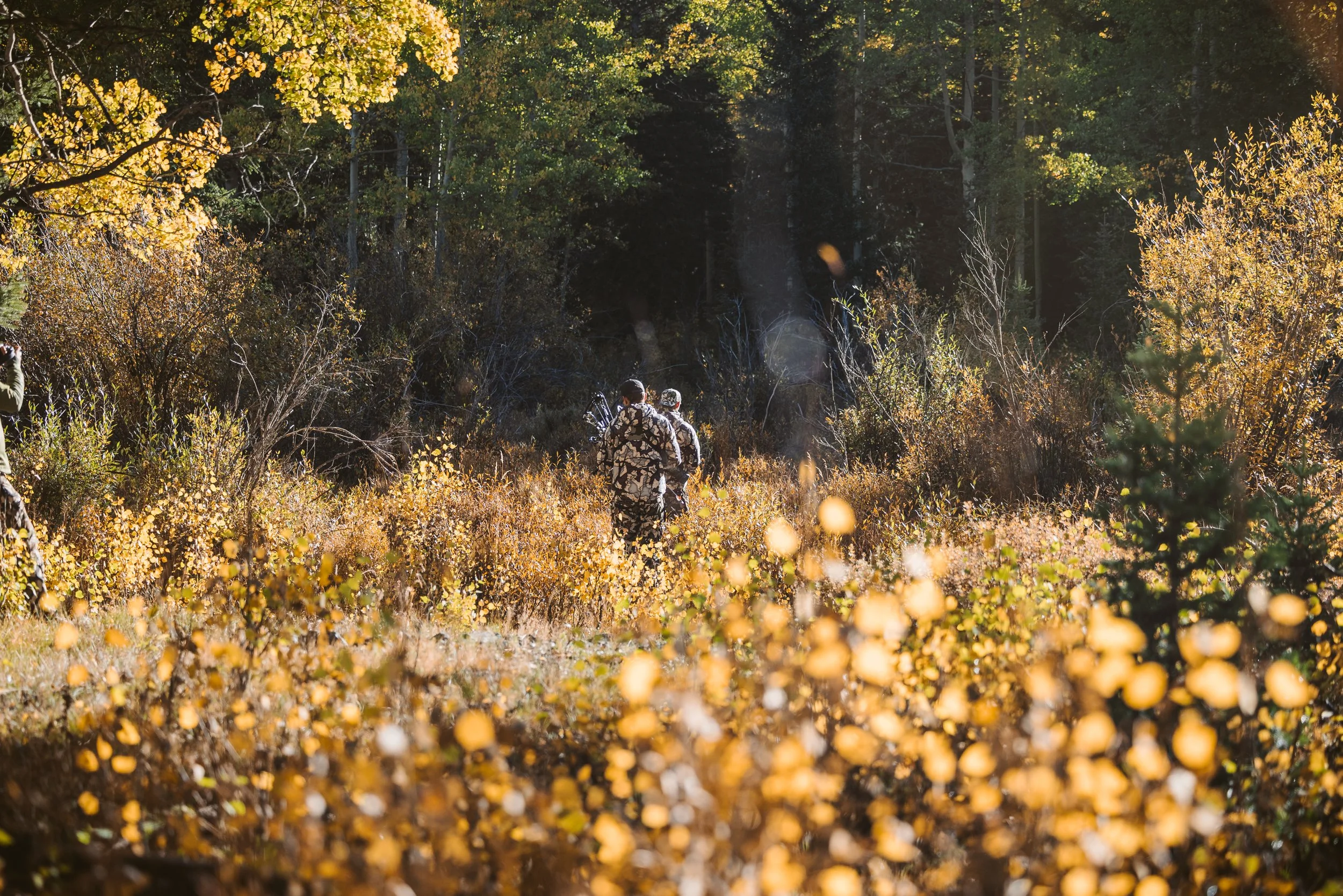 Two hunters in camouflage clothing walking through a forest with autumn foliage.