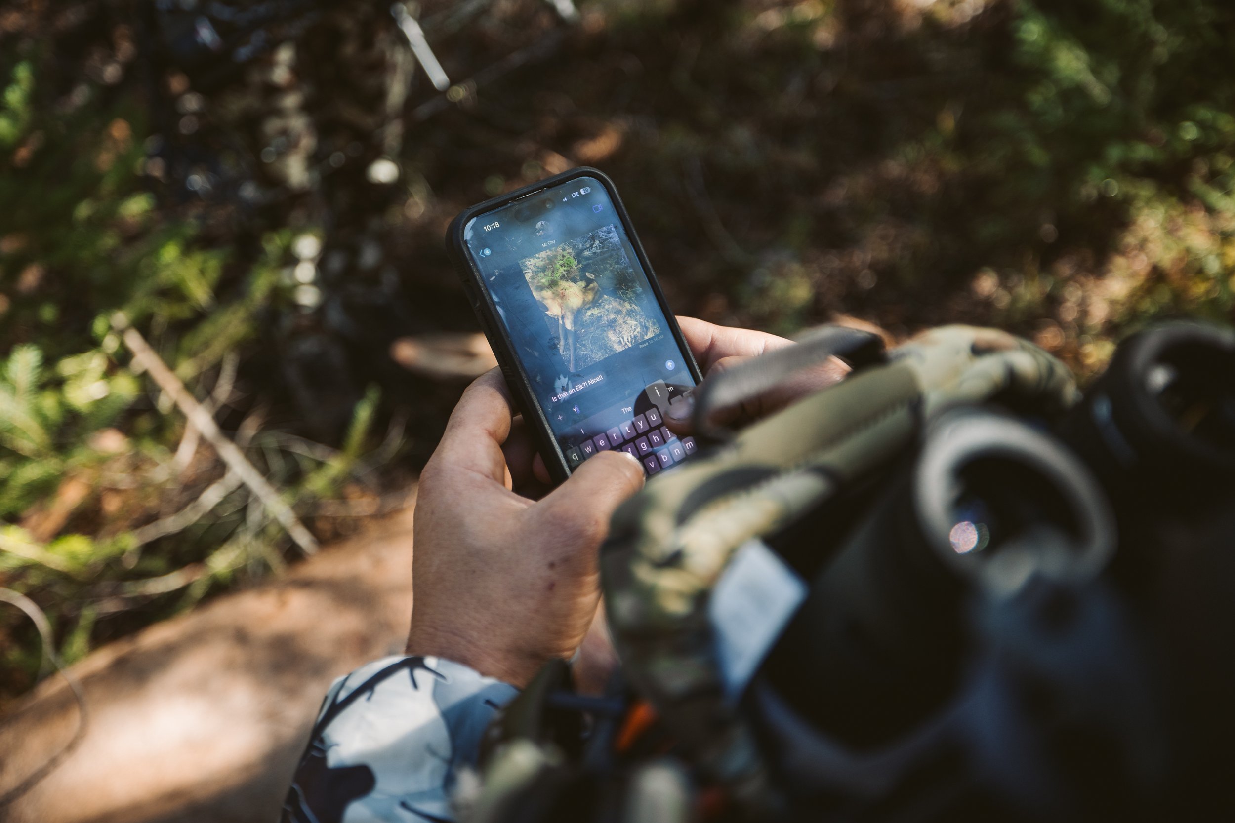 Person holding a smartphone in a woodland setting, typing a message with a forest image on the screen.