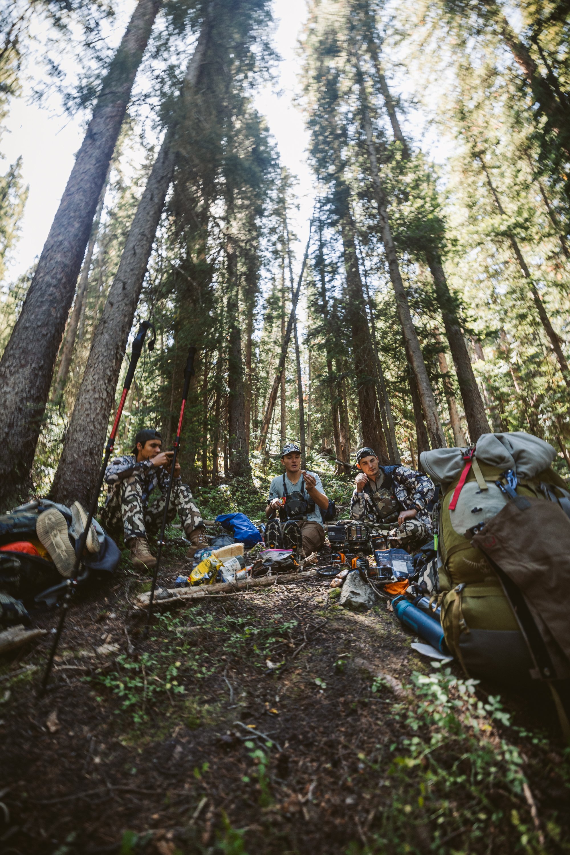 Three people sitting with backpacks and hiking gear in a wooded forest area.