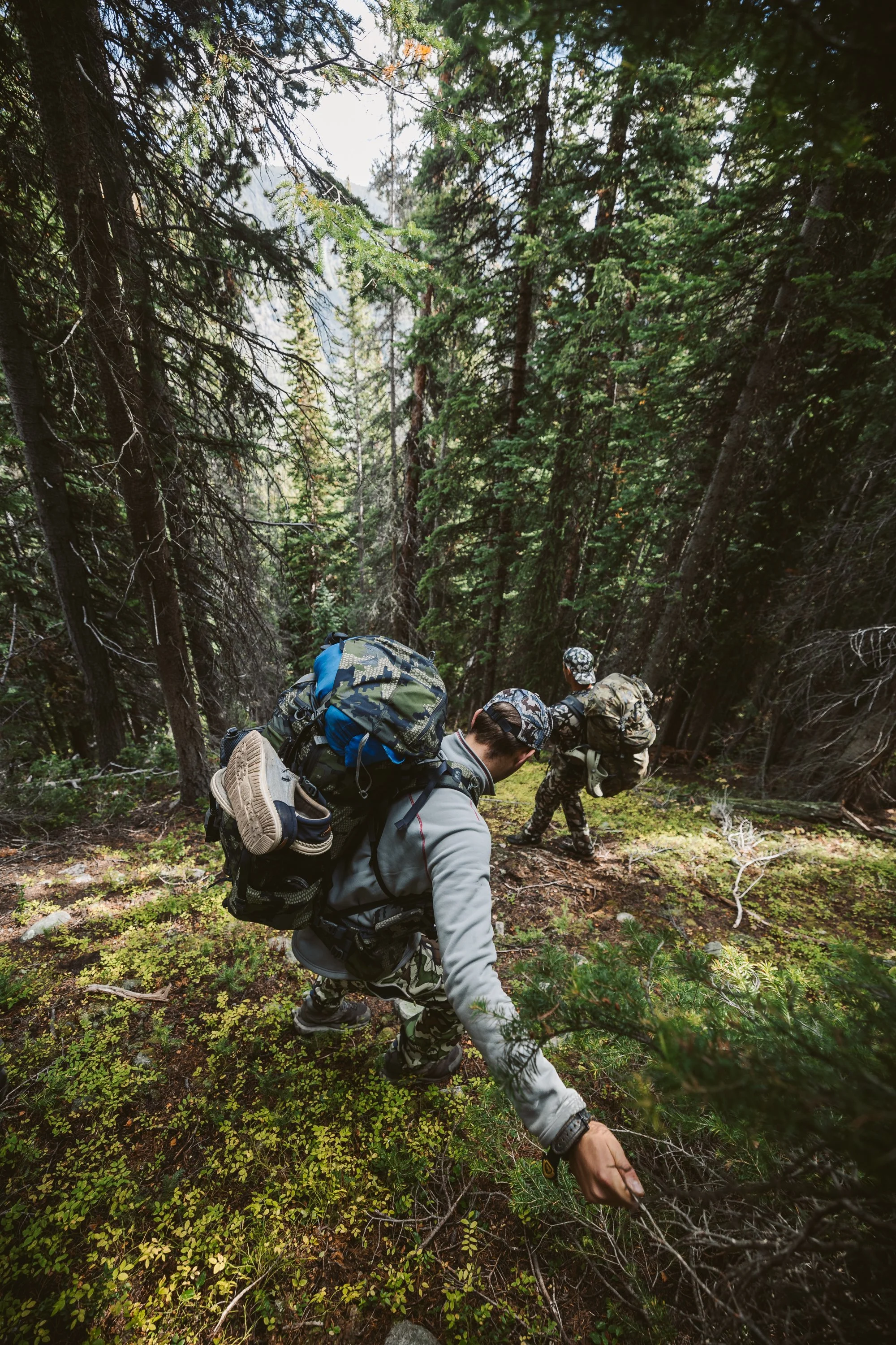 Two hikers with backpacks walking through a dense forest on a steep incline.
