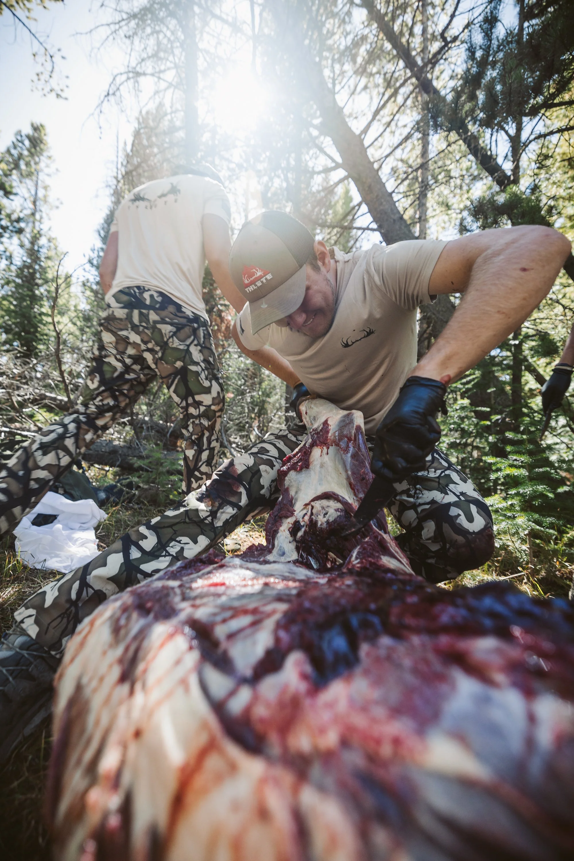 Hunters field dressing a deer in a forest