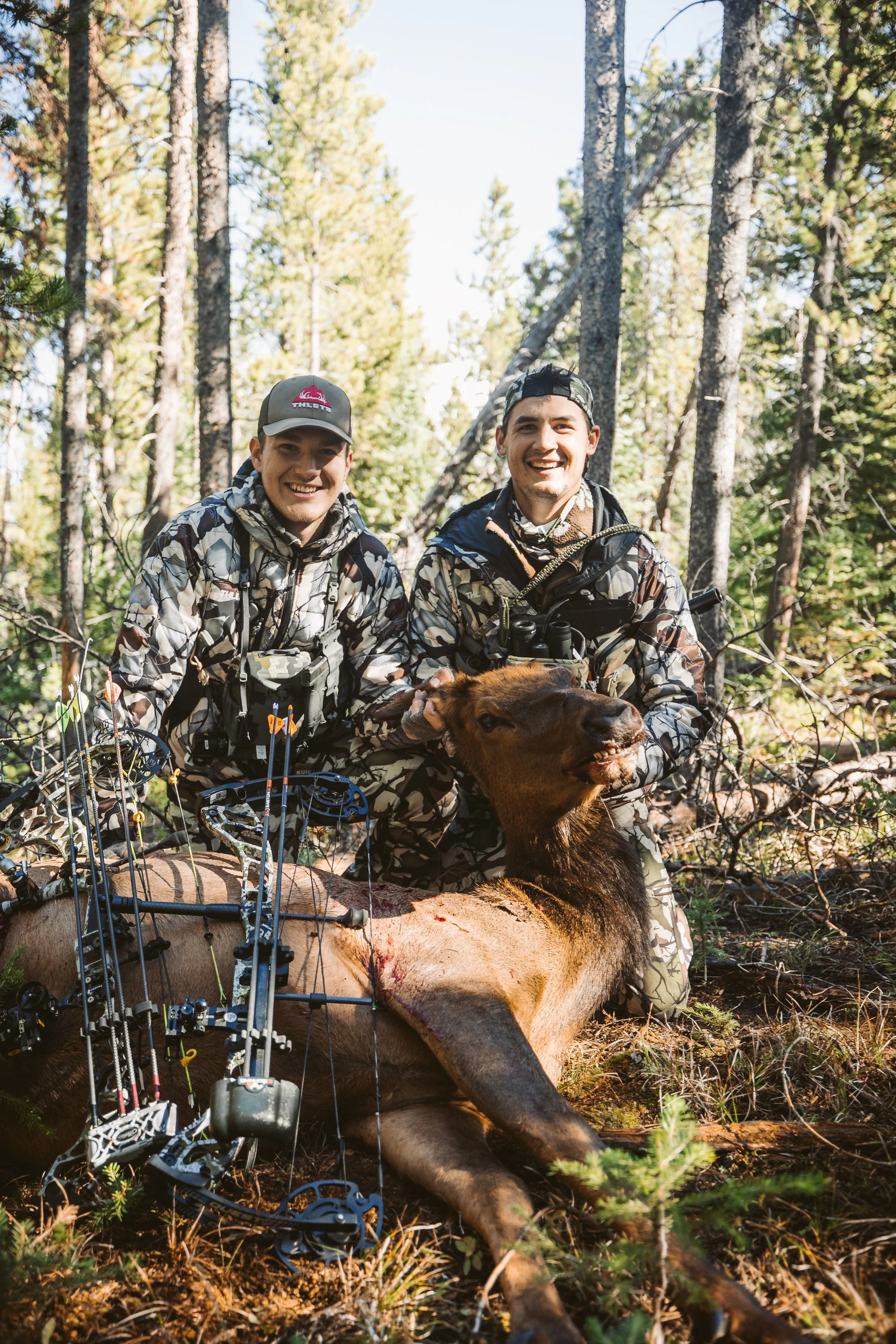 Two hunters in camouflage clothing with a harvested elk and bows in a wooded area.