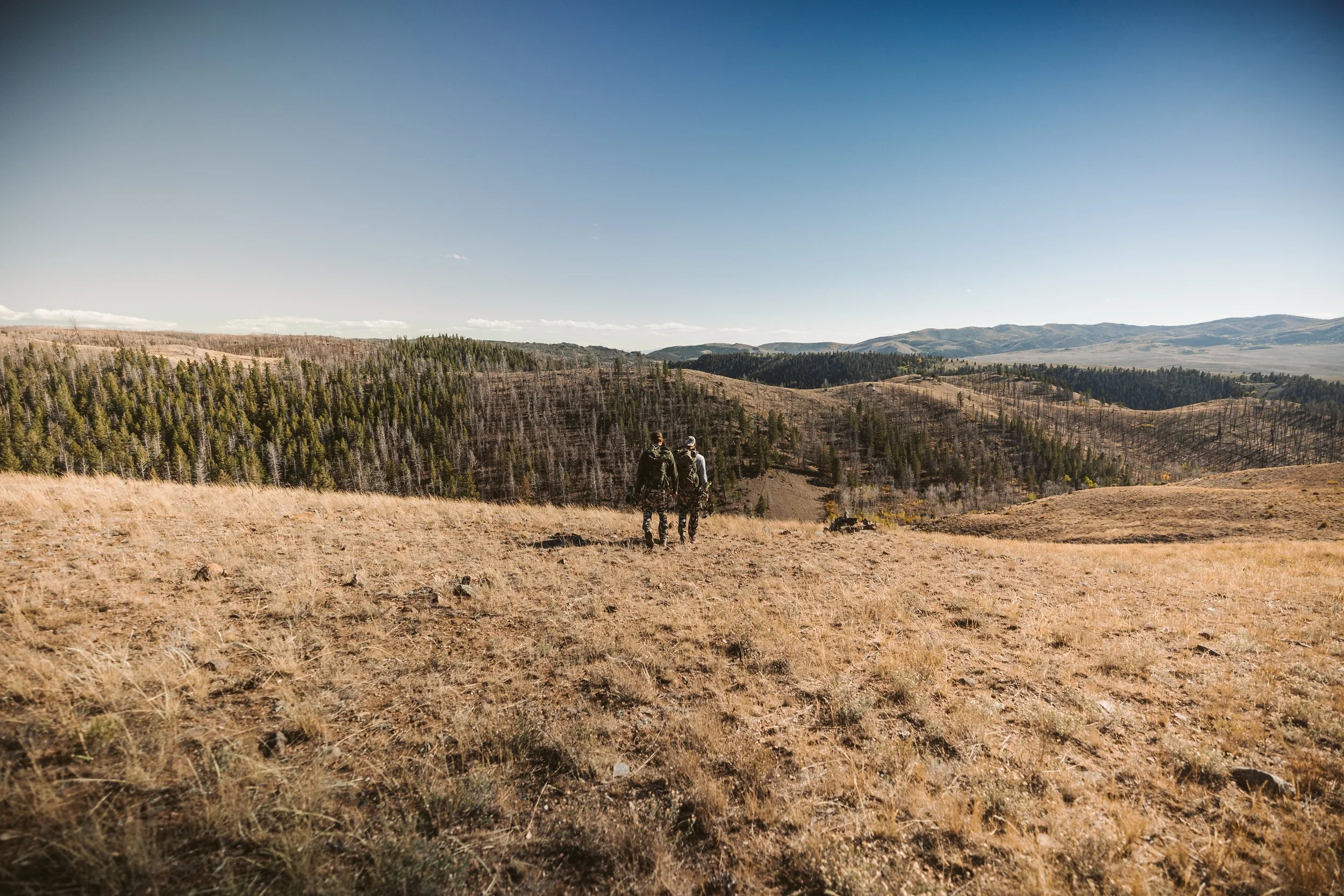Two people hiking on a grassy hill with a forested landscape and mountains in the background.