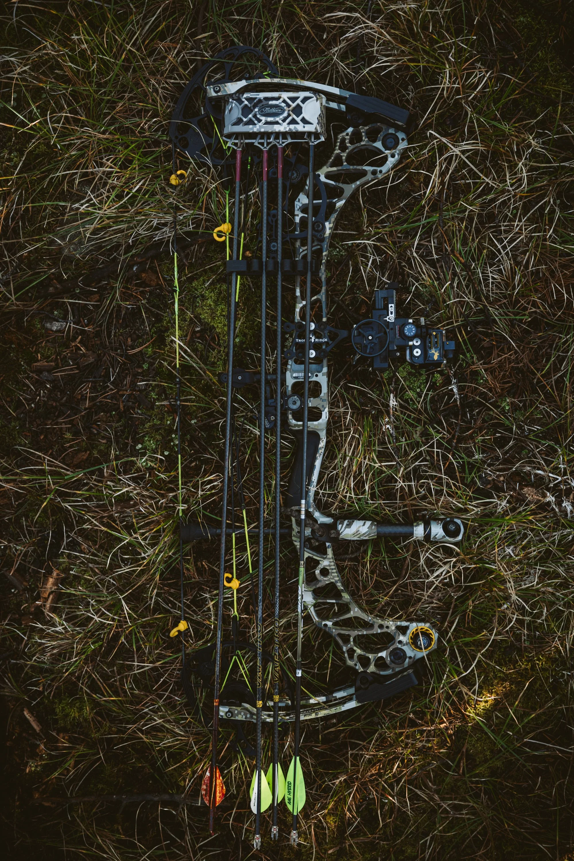 Compound bow and arrows on grass