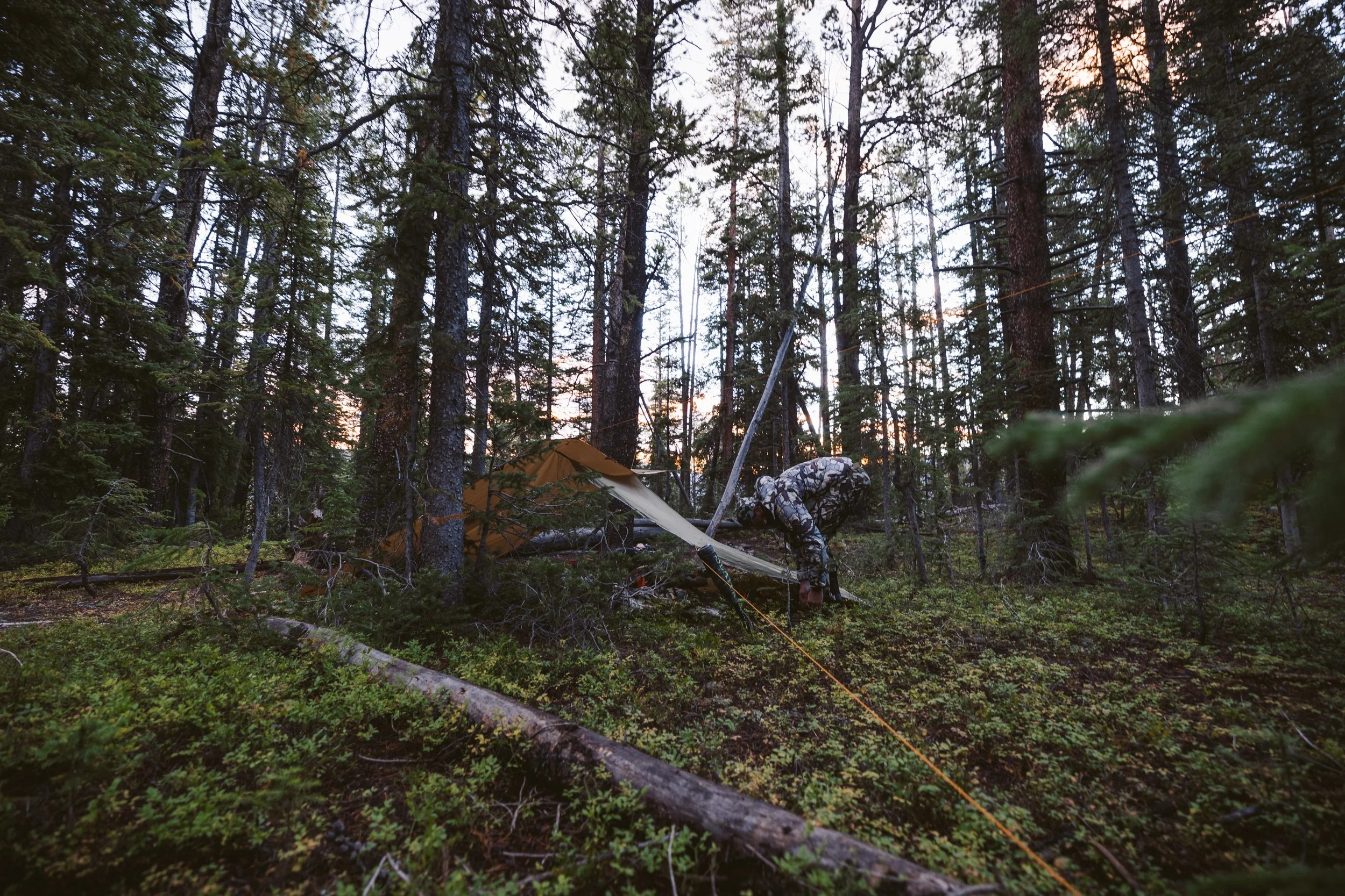 Camo-clad person setting up tarp in forest