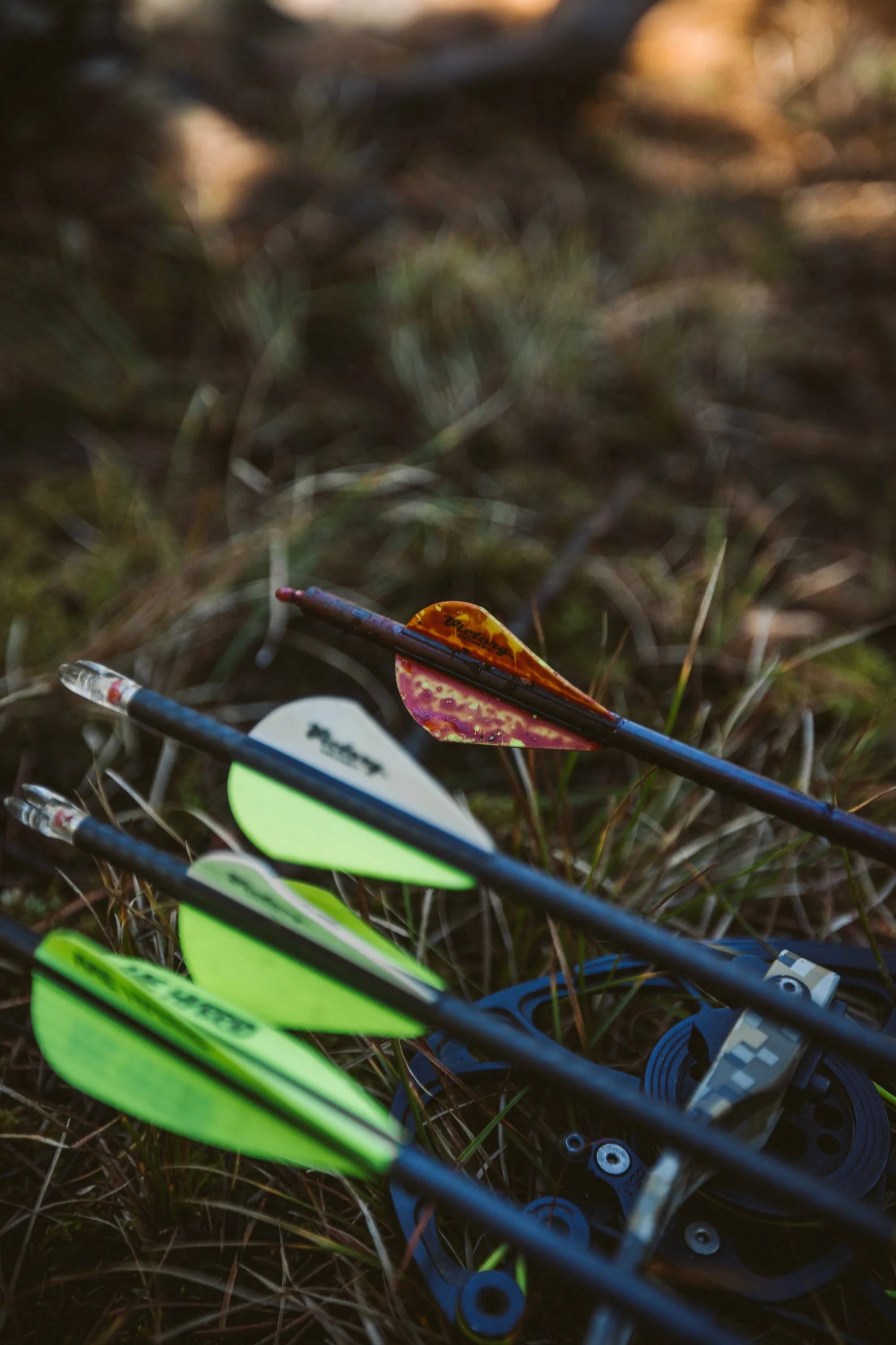 Arrows with colorful fletchings lying on grass next to archery equipment.