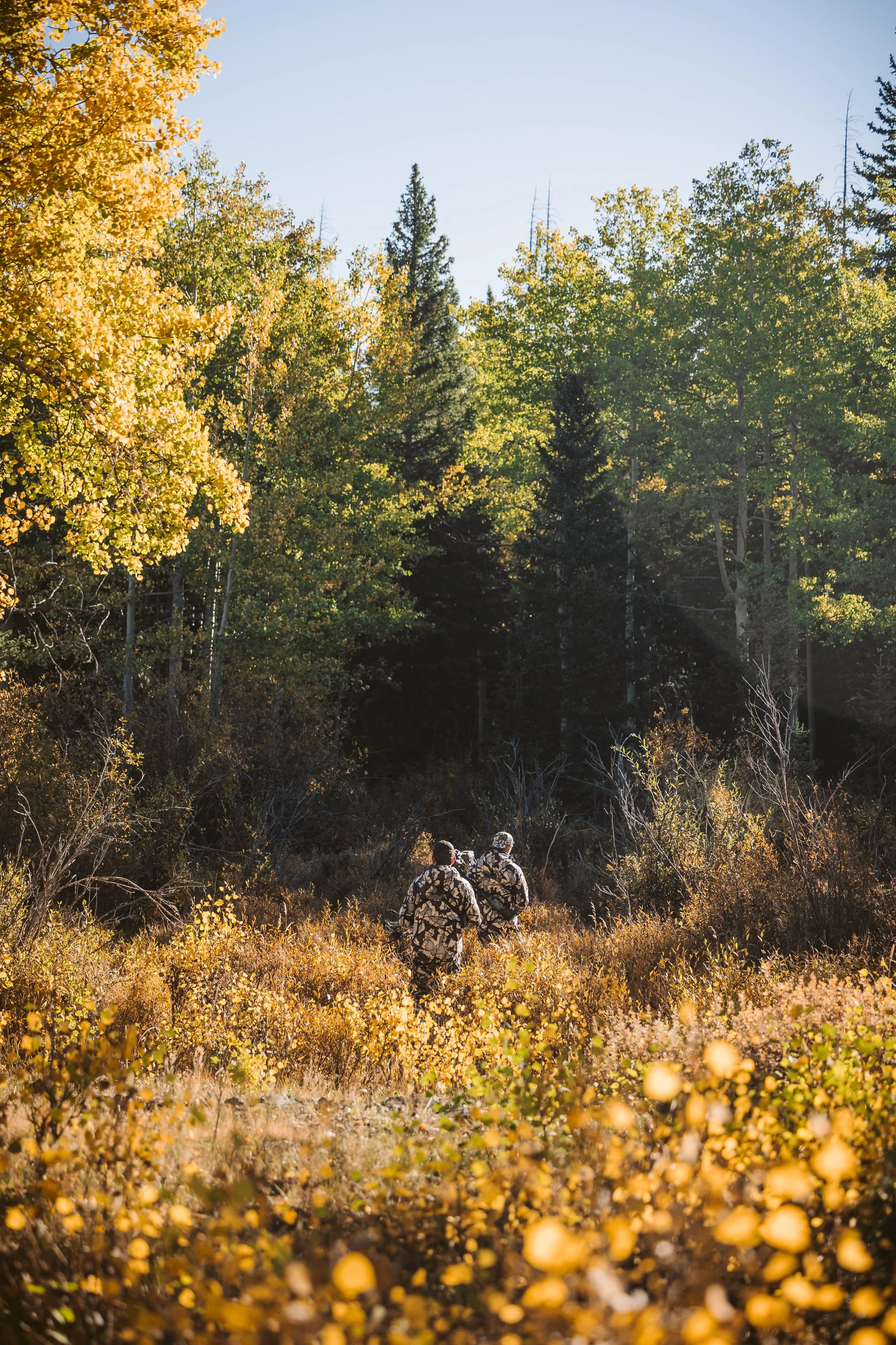Two people in camouflage walking in an autumn forest with vibrant yellow and green foliage.