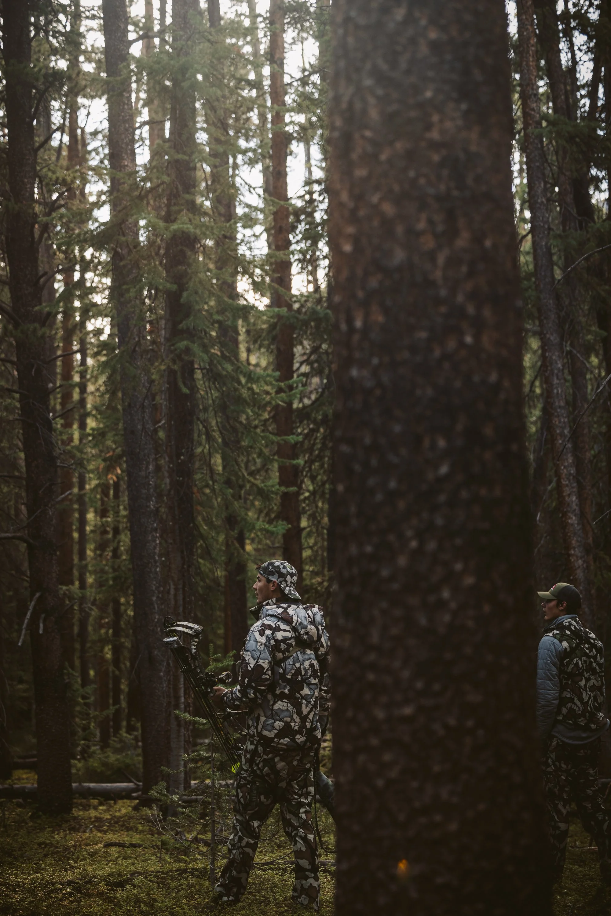 Two people in camouflage in a dense forest, one holding a bow, surrounded by tall trees.