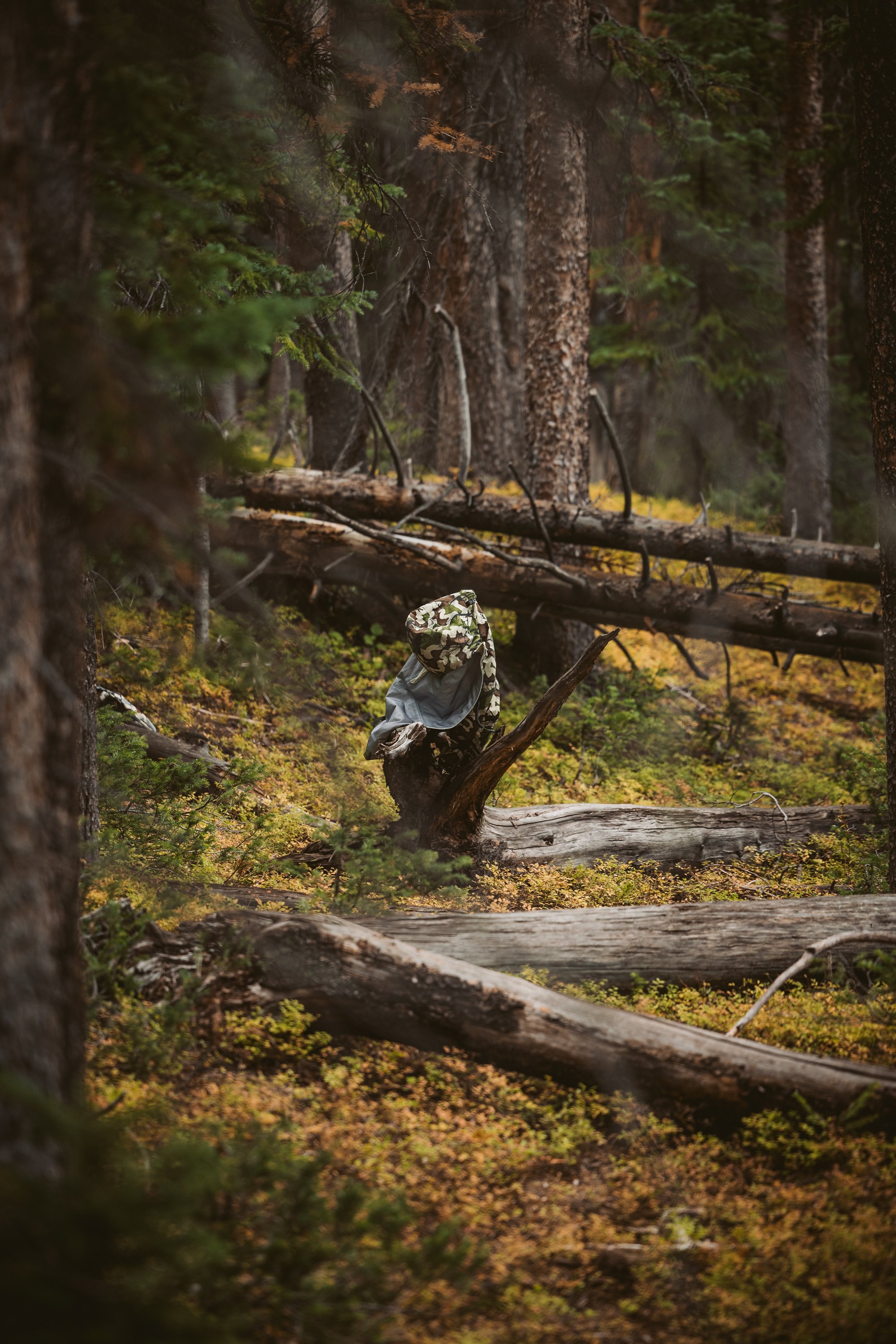 Camouflage jacket draped over a tree in a dense forest with fallen trees and green undergrowth.