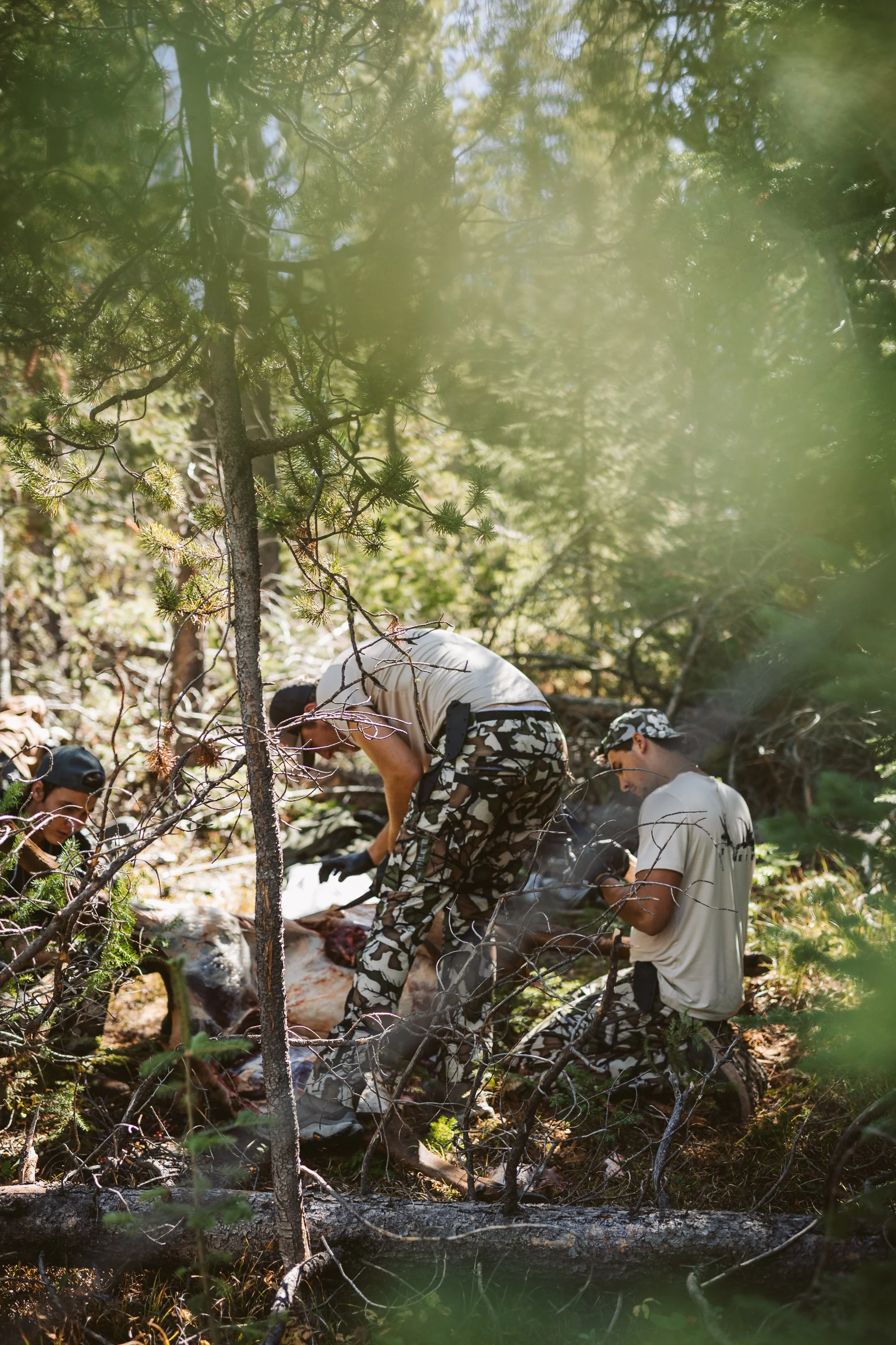 Hunters in camouflage gear processing game in forest