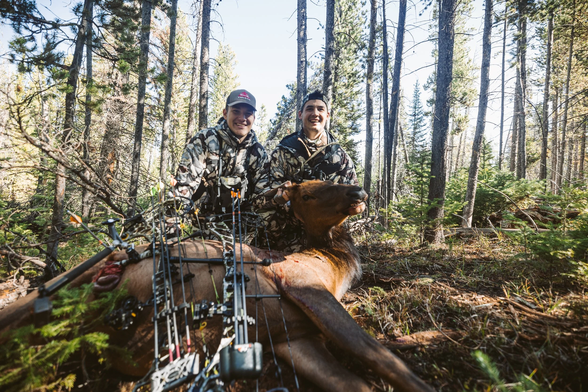 Two hunters in camouflage clothing pose with a harvested elk in a forest, with a compound bow and arrows visible.