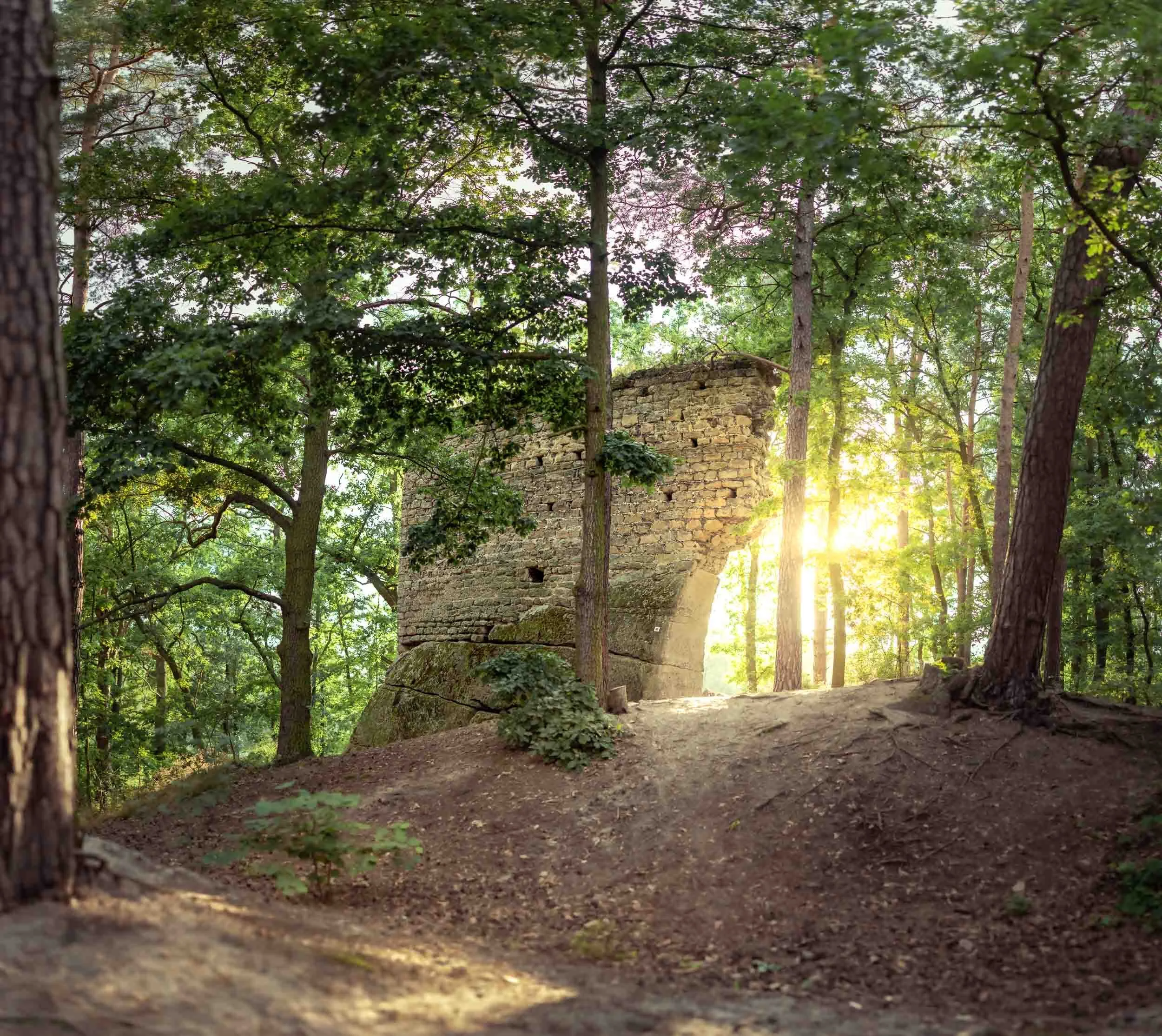 _TOD1007-Pano.jpg