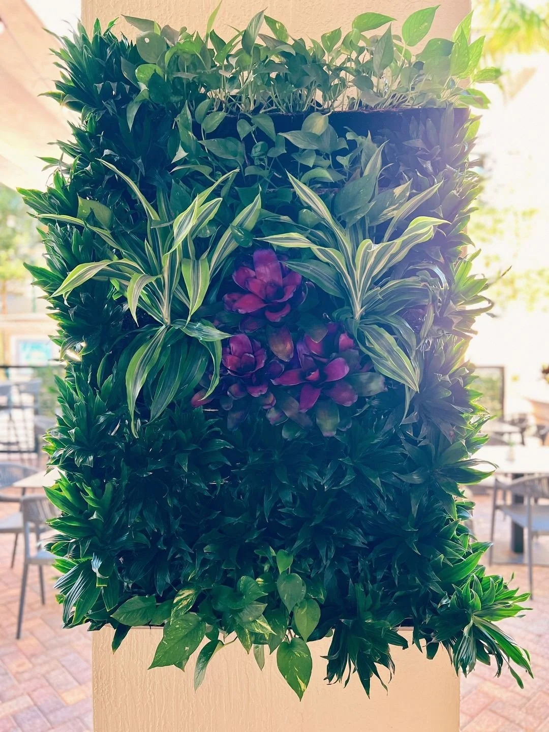 temp_image_07D84F91-8454-4A4A-9C0B-9F0E6A606828 (1).jpg