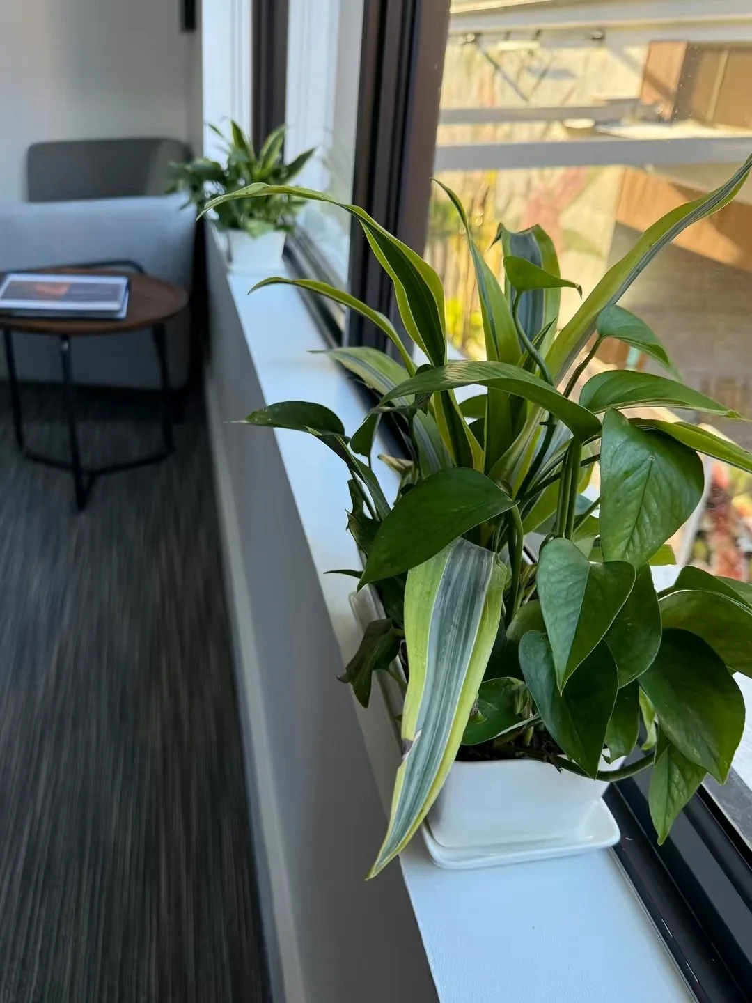 temp_image_20066BB0-ED26-4556-BBC8-C19143CCF8C3 (1).jpeg