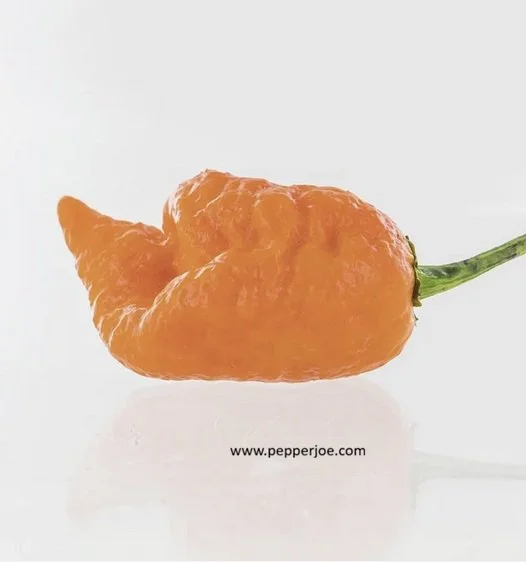 pepper peach mutant.jpg