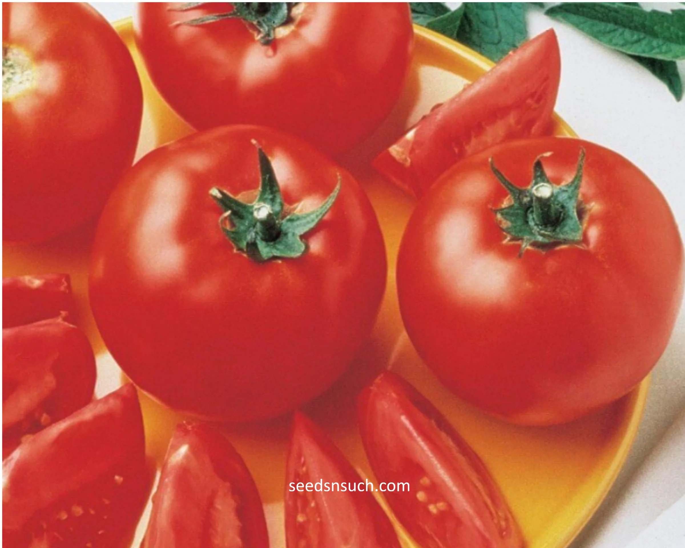 Tomato, Bush Early Girl (compact/container)