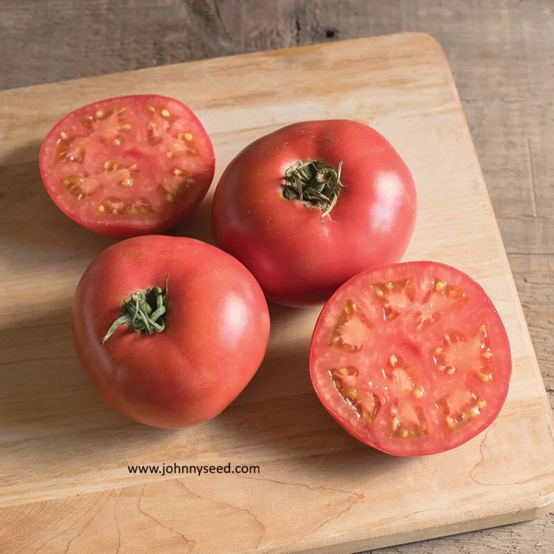 Tomato, Damsel