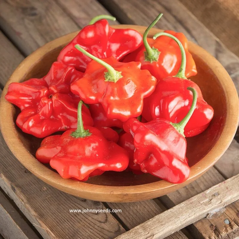 pepper mad_hatter.jpg