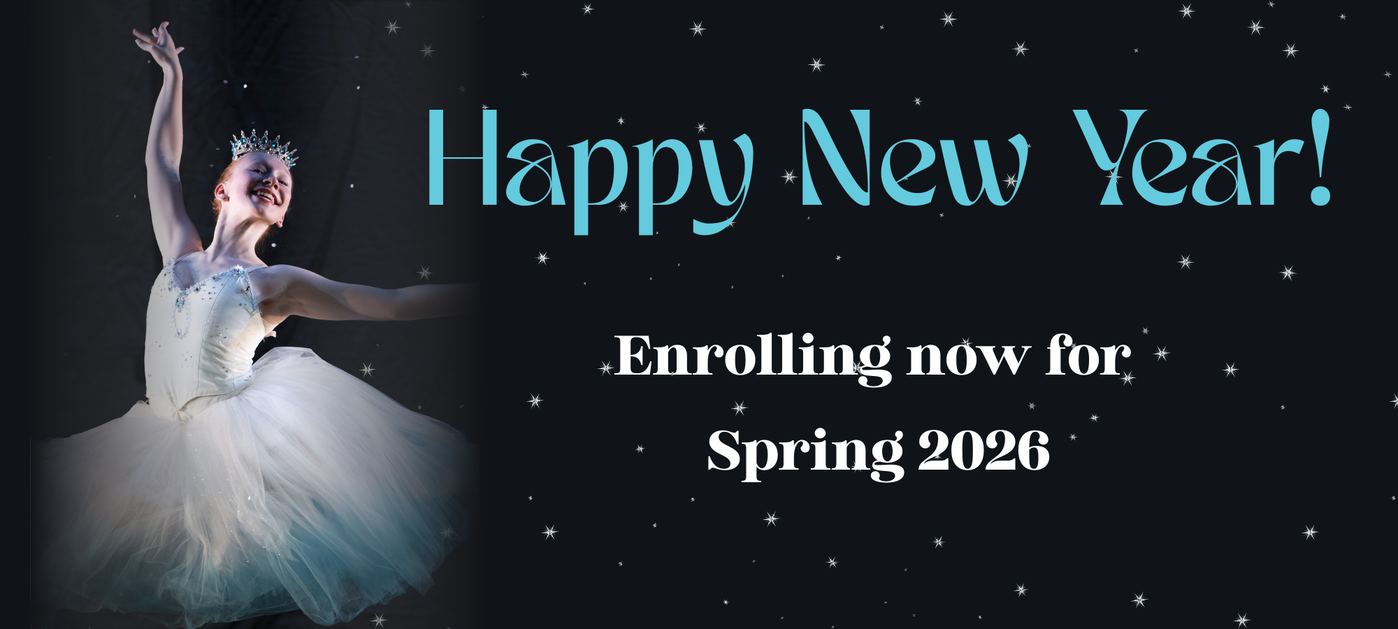 Website banner (2).png