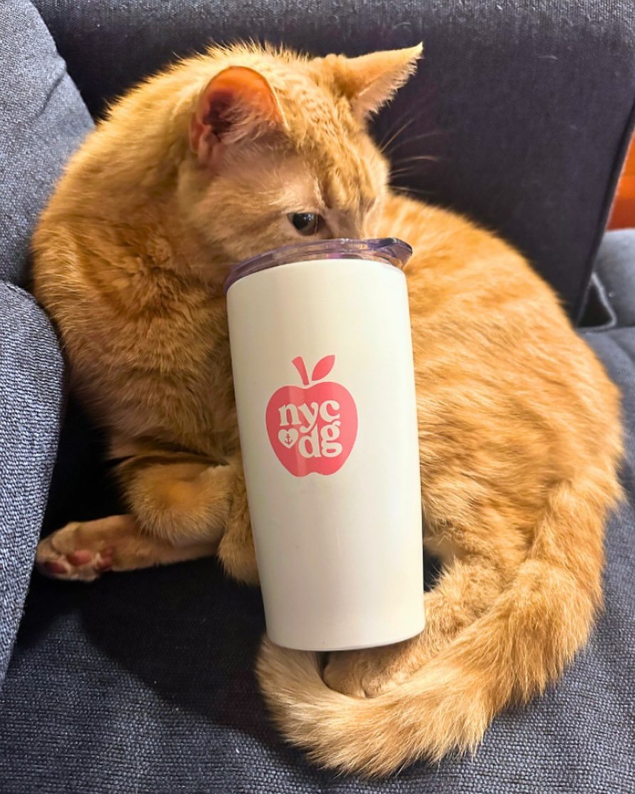NYC DG TUMBLER GIVEAWAY 🩷 The first five members to pay their local 2024-2025 NYC DG dues between now and December 1st will win a limited-edition NYC DG tumbler.*

Paying your dues greatly supports NYC DG and includes&hellip;
✨ Discounts on NYC DG e