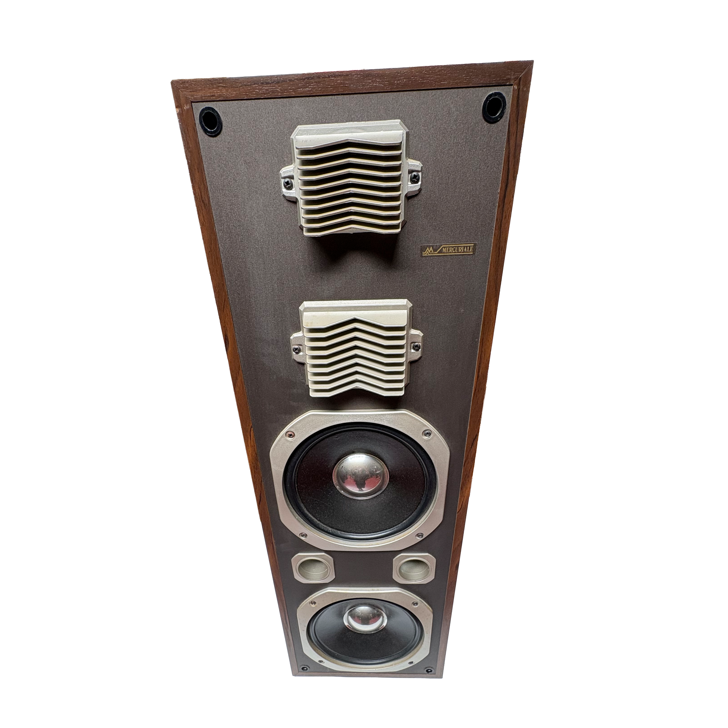 speaker 3 photo 2.png