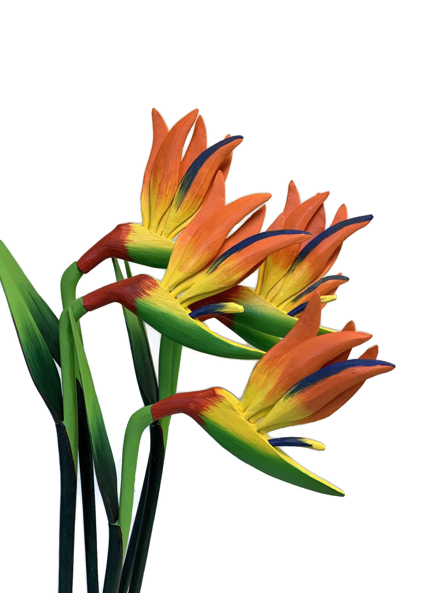 Bird of Paradise .jpg