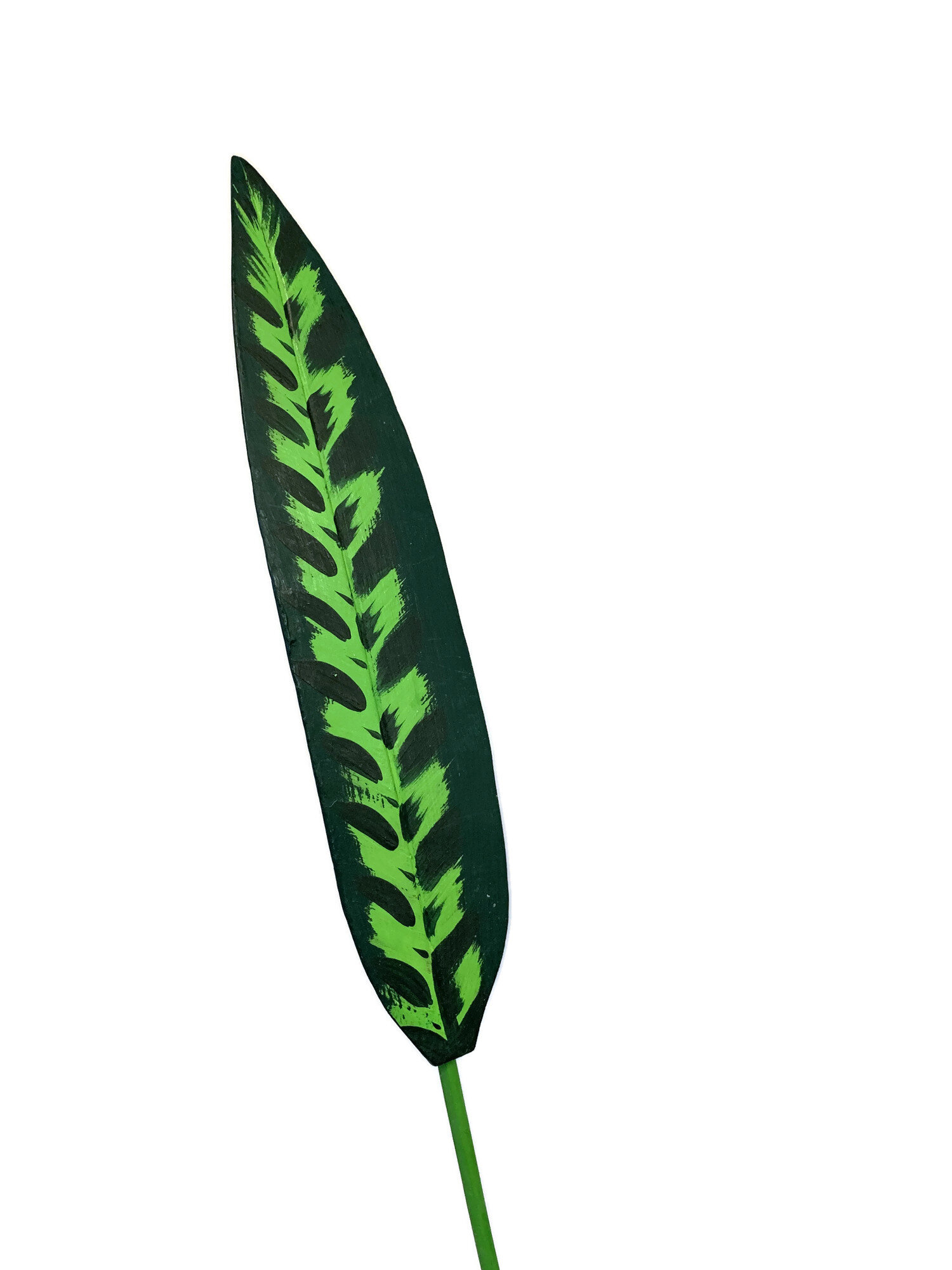 Long tiger leaf.jpg