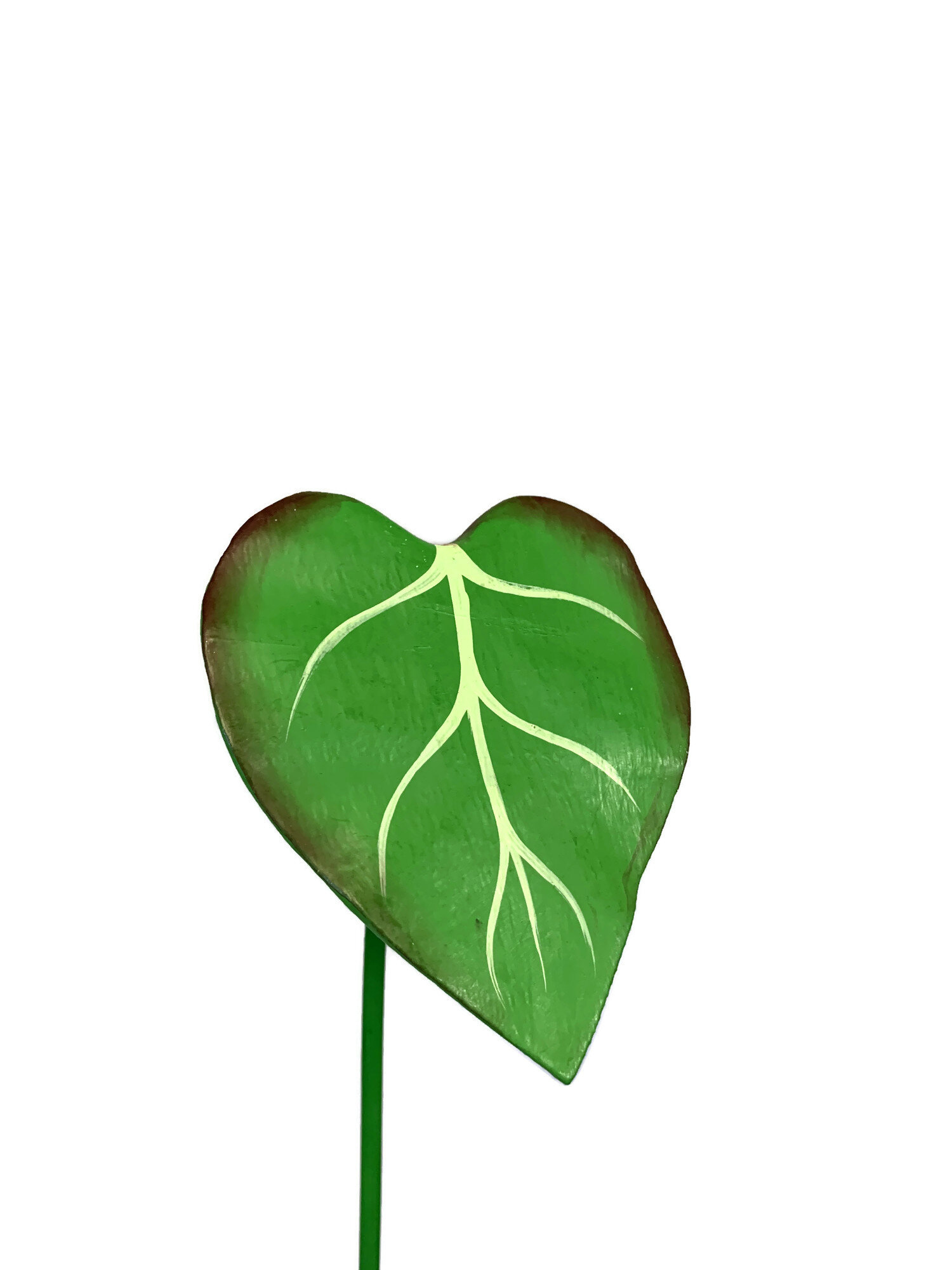 Green leaf.jpg