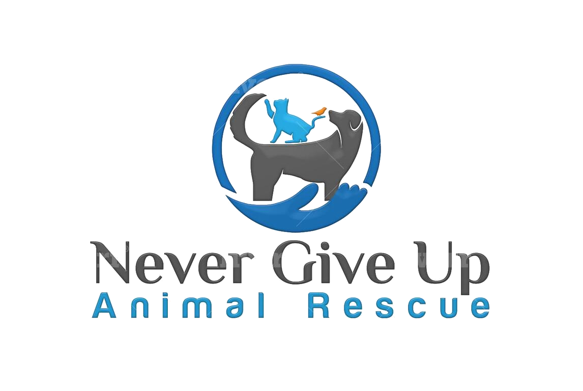 Never Give Up Animal Rescue