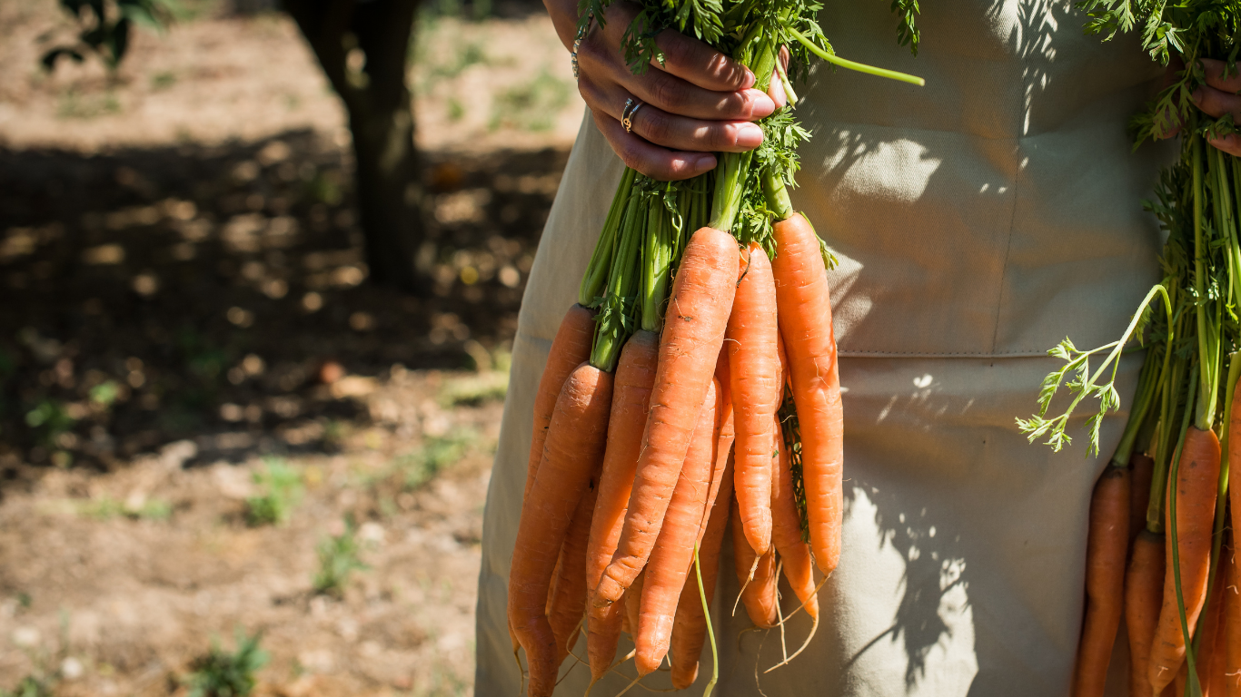 Organic, GMO, Local &amp; Gluten-Free - Is It Important?
