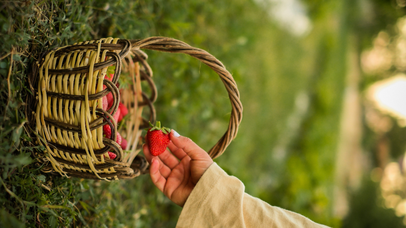 What is Intuitive Eating?