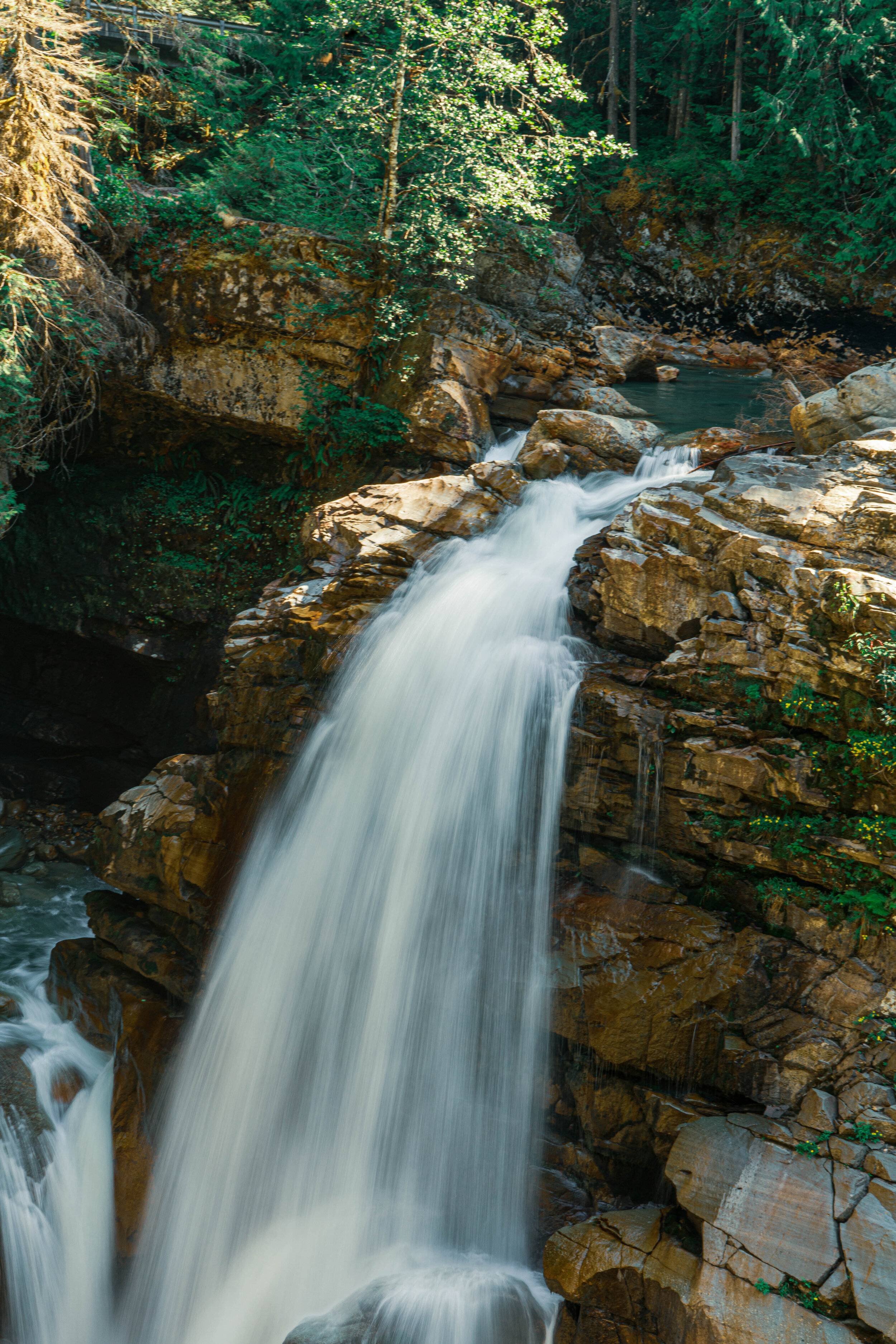 Lush Waterfall