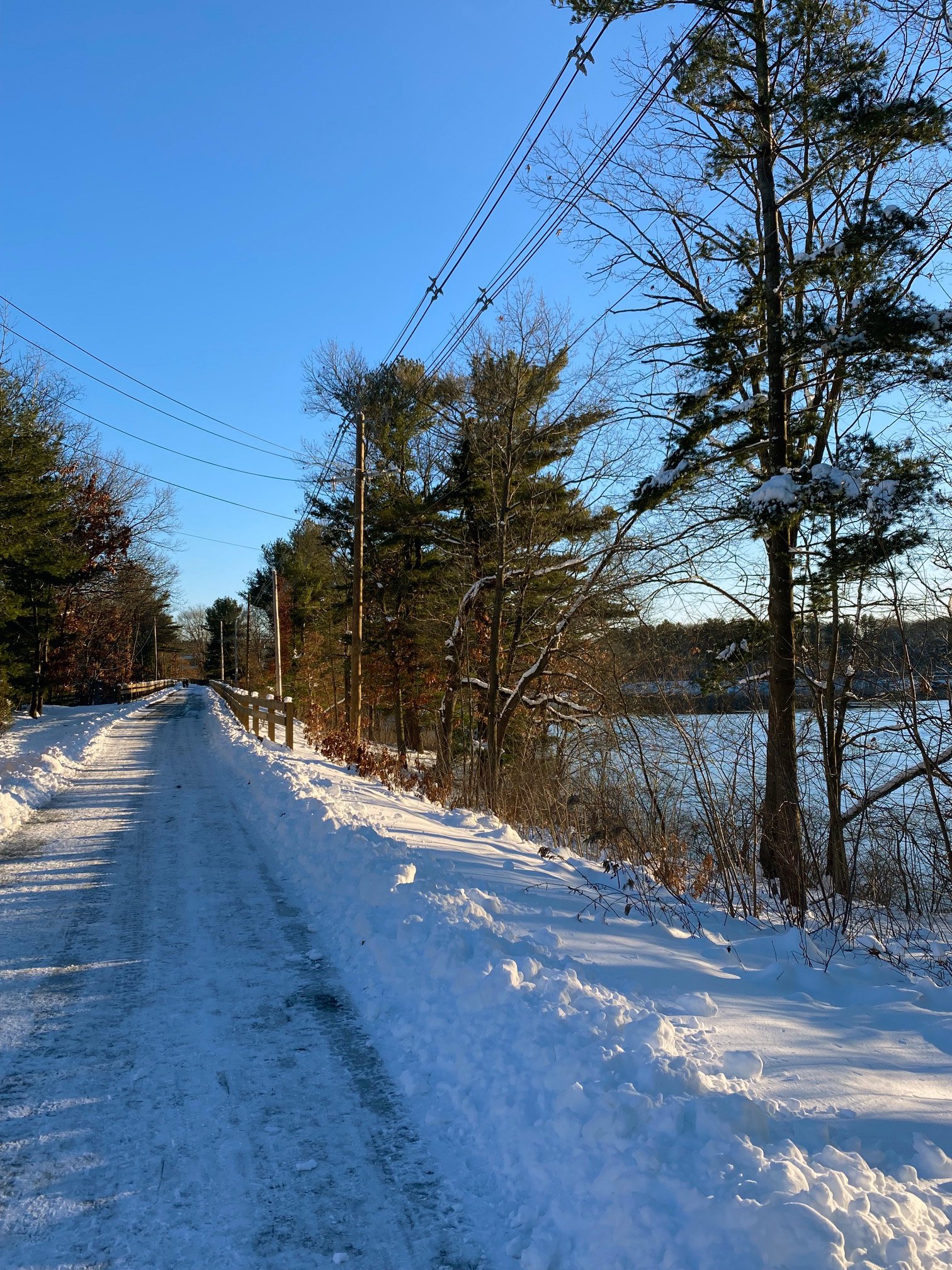 Cochituate Rail Trail (CRT) — Friends of Natick Trails