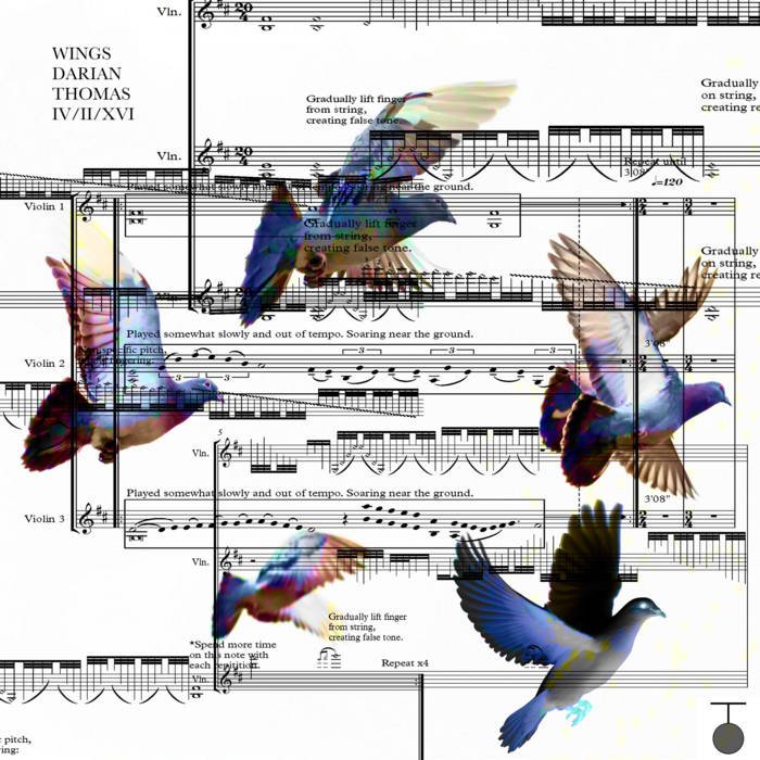 Artwork Darian Donovan Thomas to accompany his piece Wings, depicting five colorful birds in flight overlaid across a leaf of music from the work.