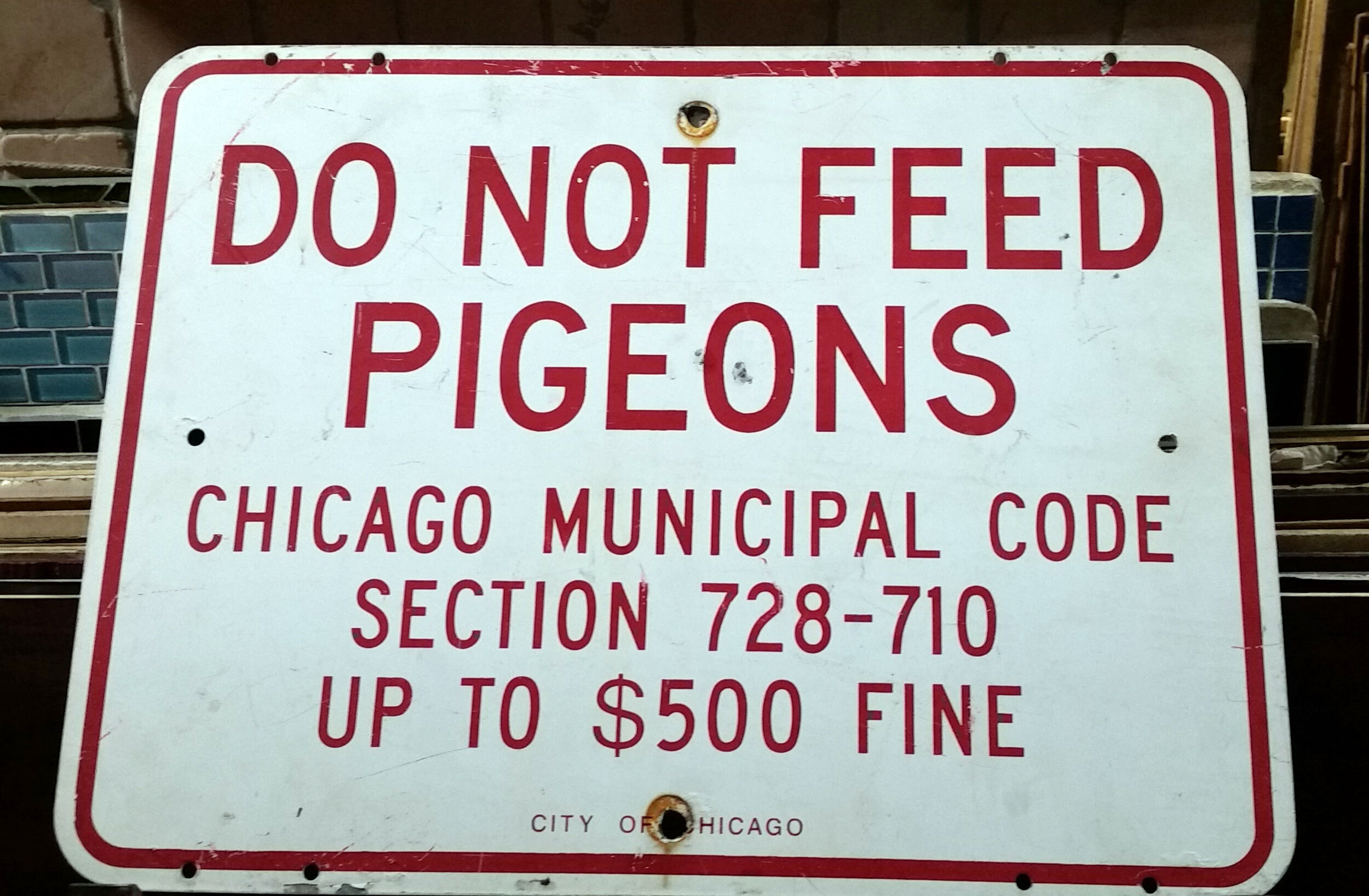 White and Red Do Not Feed The Pideons Signs .jpg