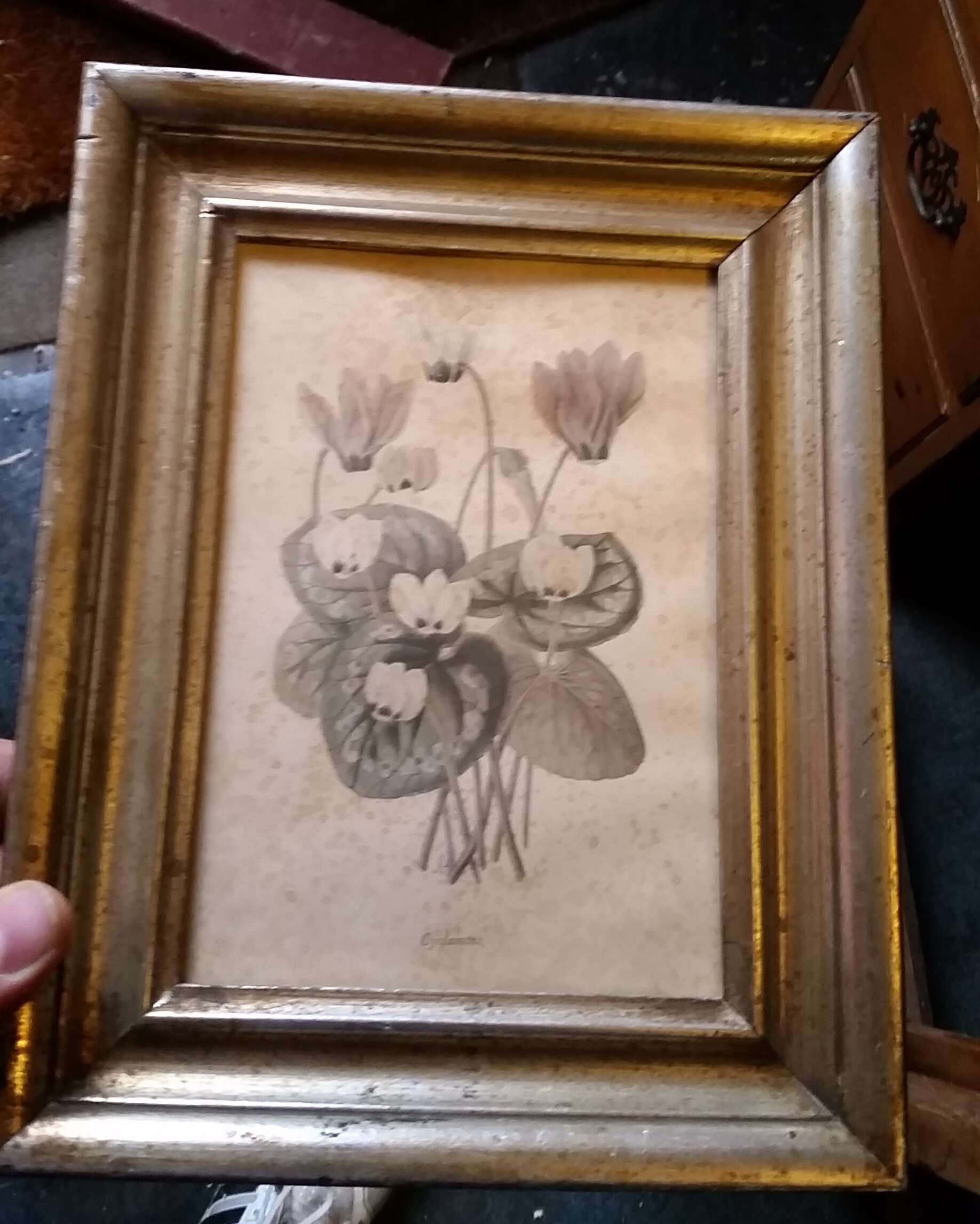Flowers and Lilies Drawing in a Small Gold Frame .jpg