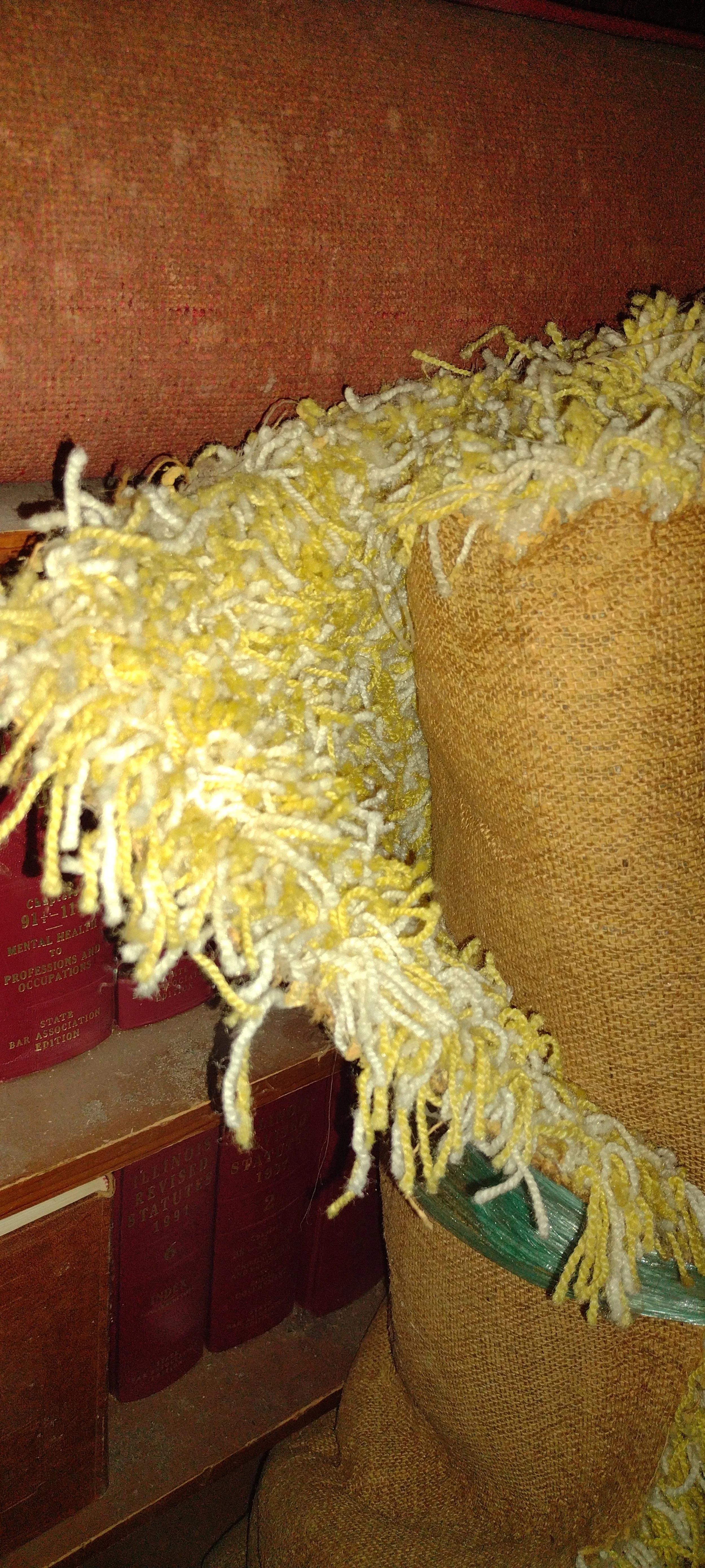 Yellow Shag Carpet
