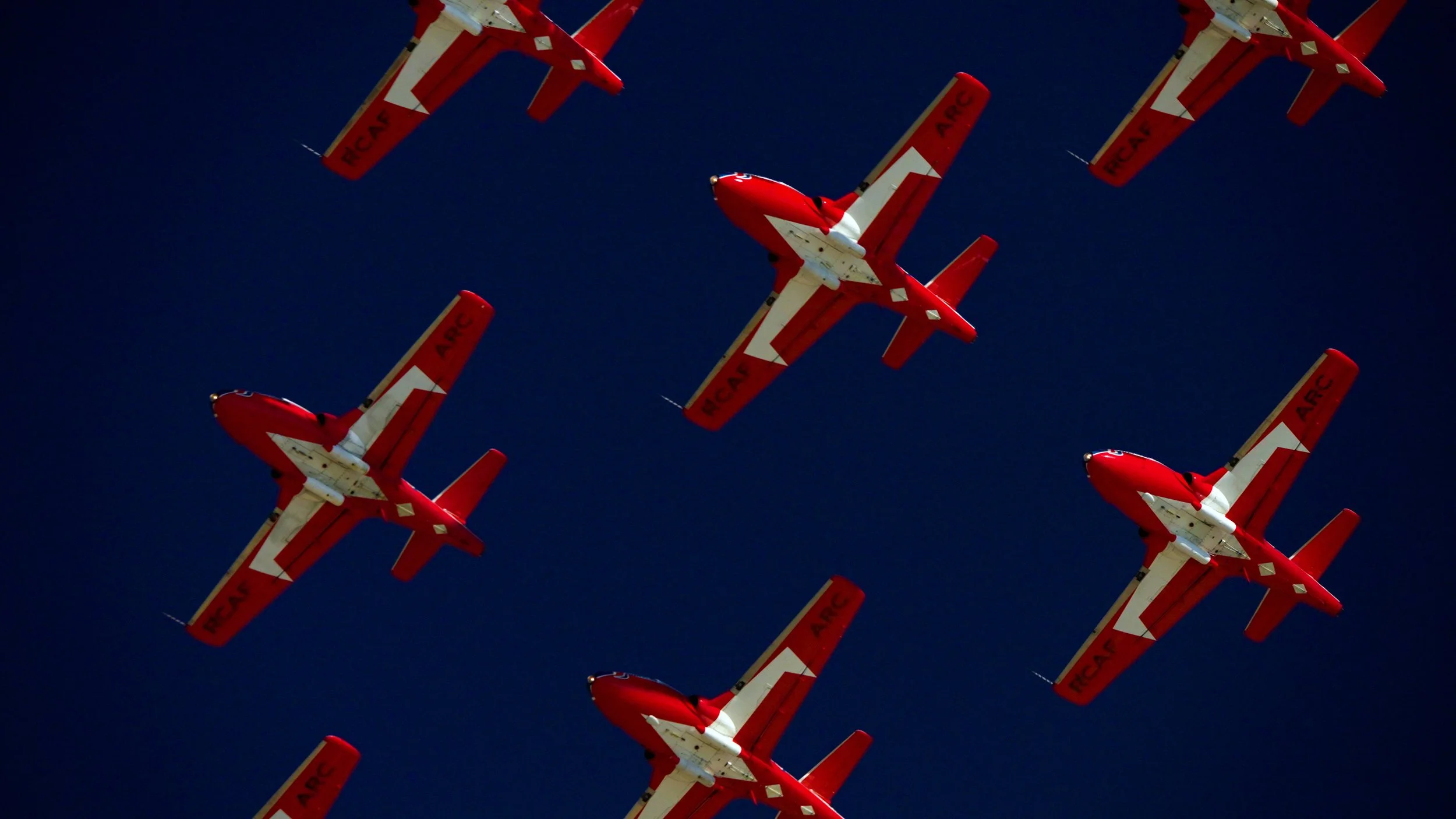 Snow Birds