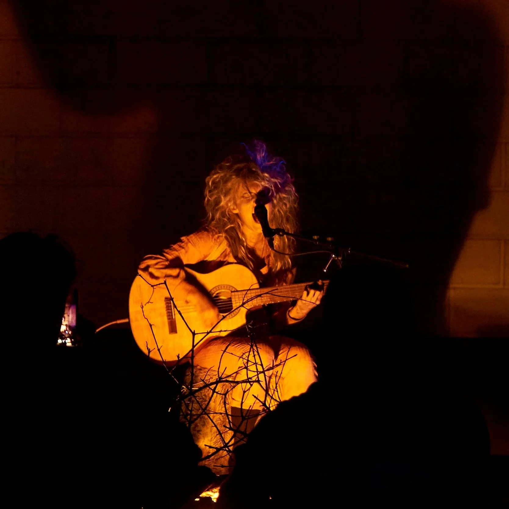 Rage Peace Campfire Songs