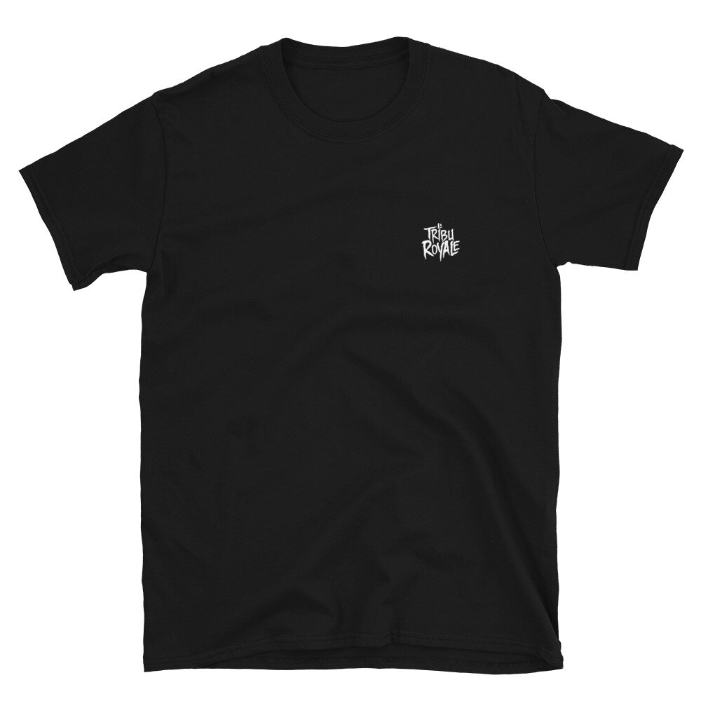unisex-basic-softstyle-t-shirt-black-front-604299da3da10.jpg