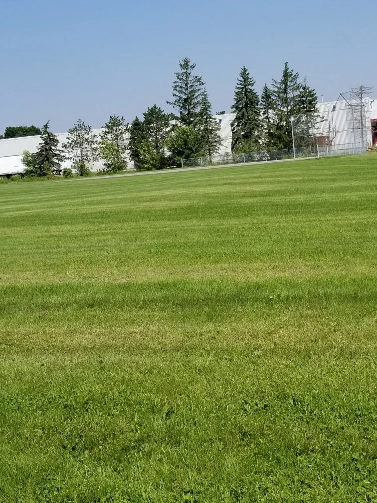 baseball diamond.jpeg